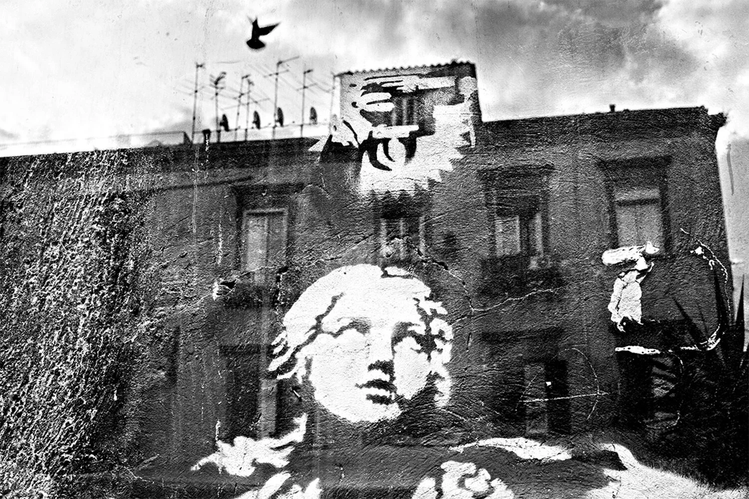 Untitled - Sin título