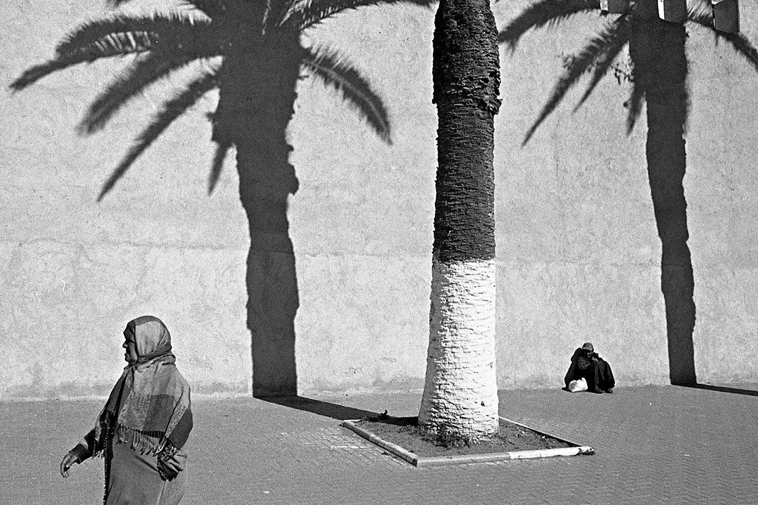 Untitled - Sin título