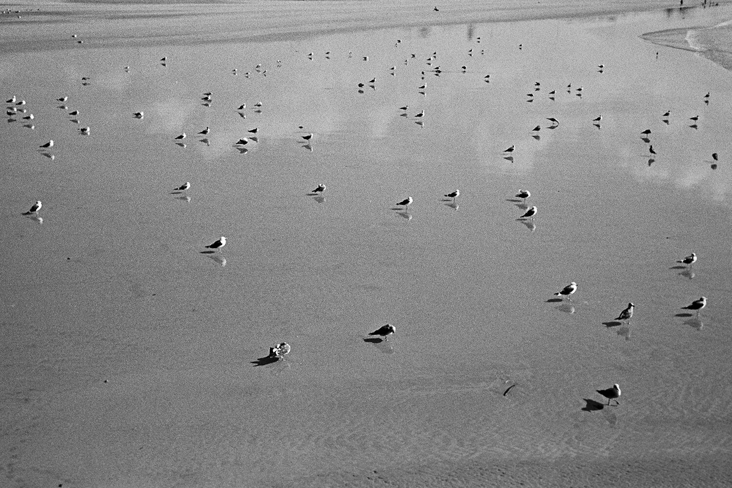 Untitled - Sin título