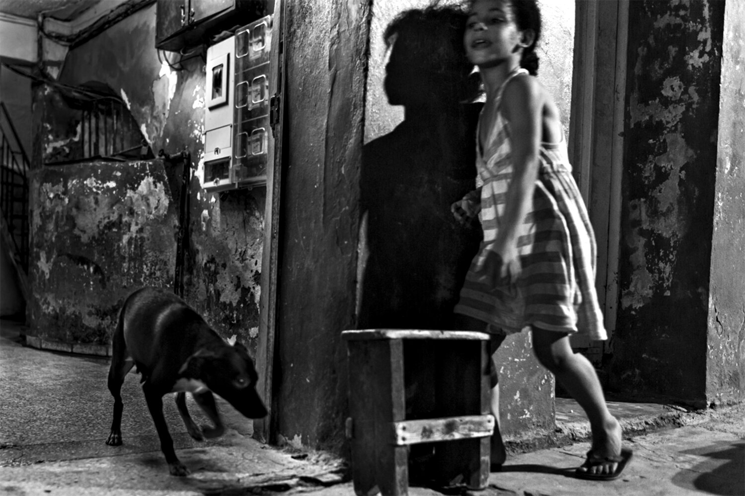 Untitled - Sin título