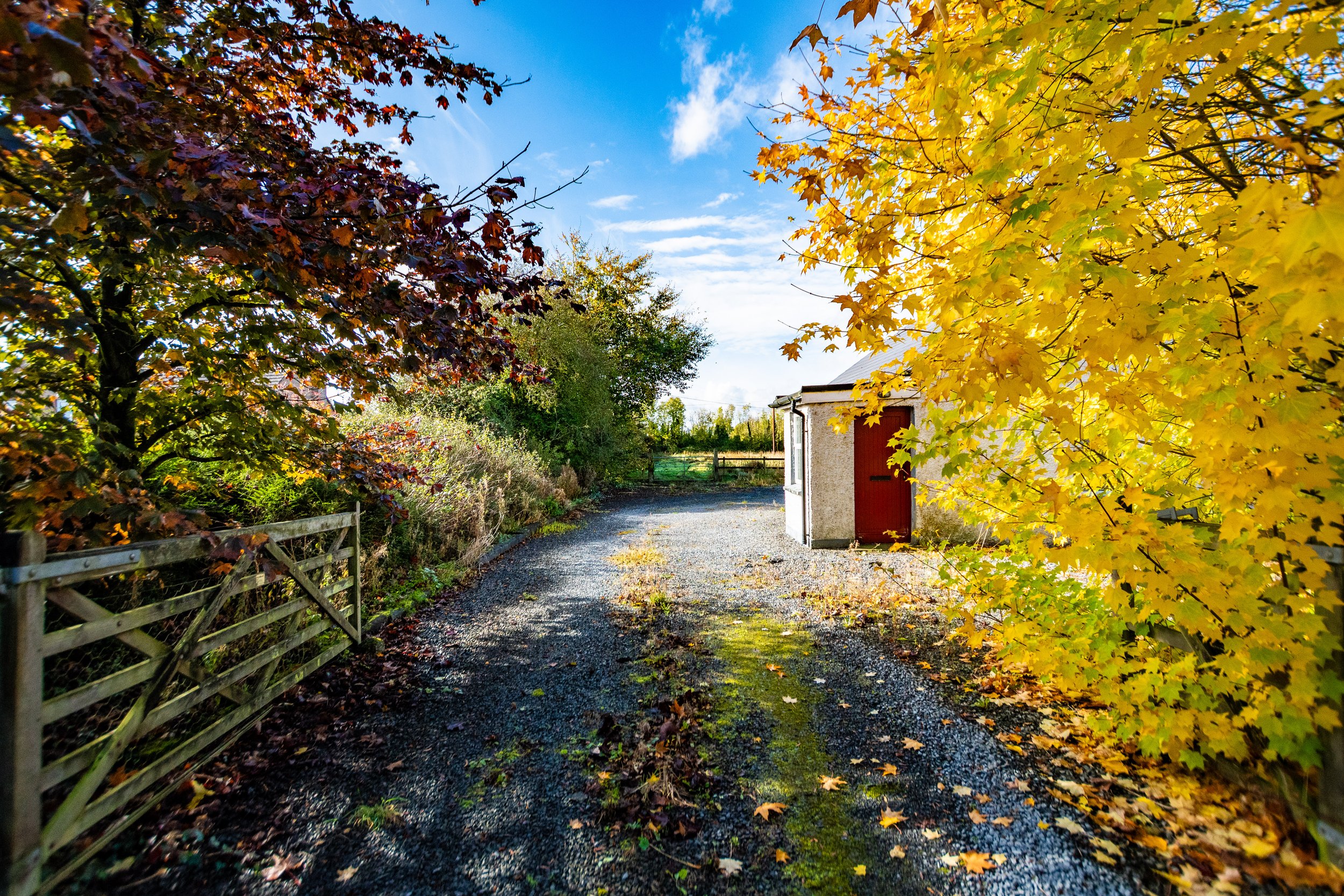 Corbetstown - 10.jpg