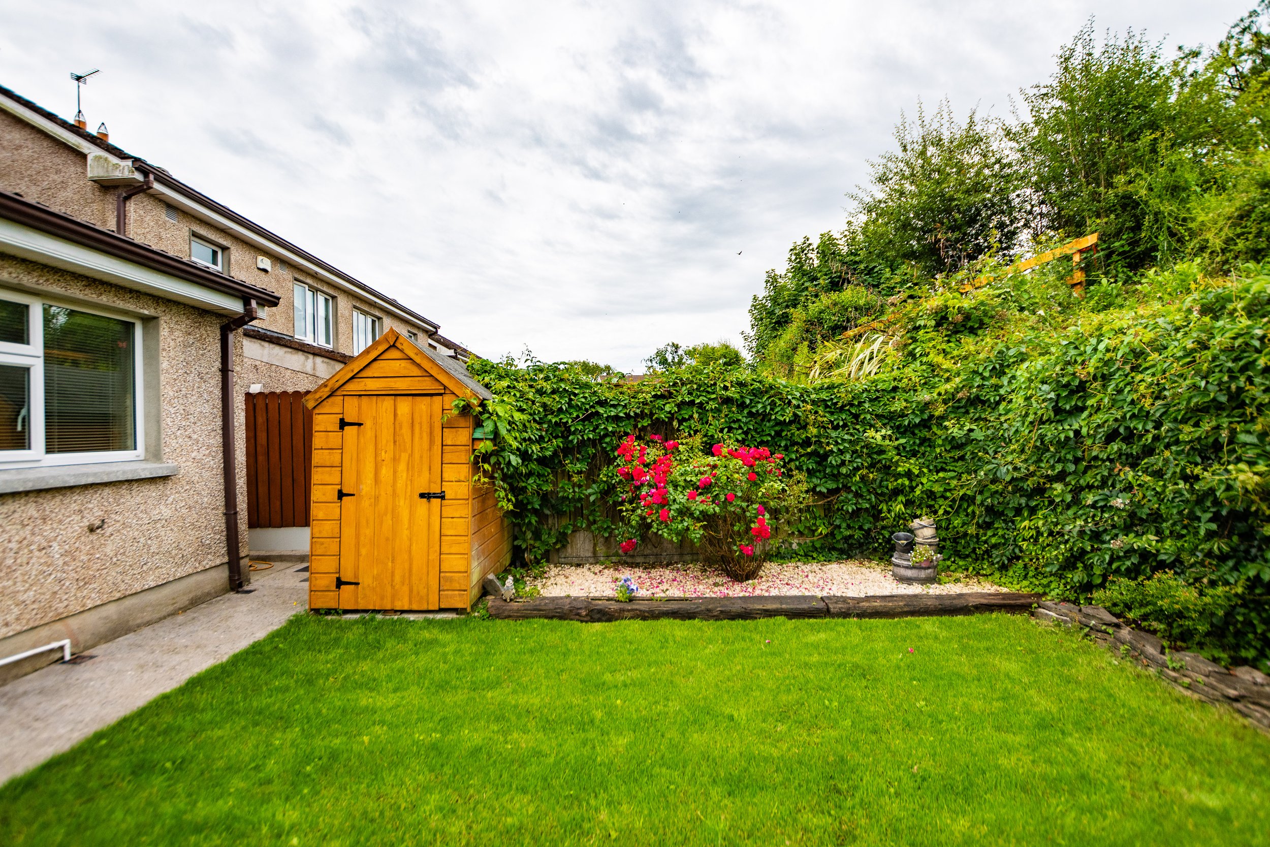 56 Glenmore Wood - 114.jpg