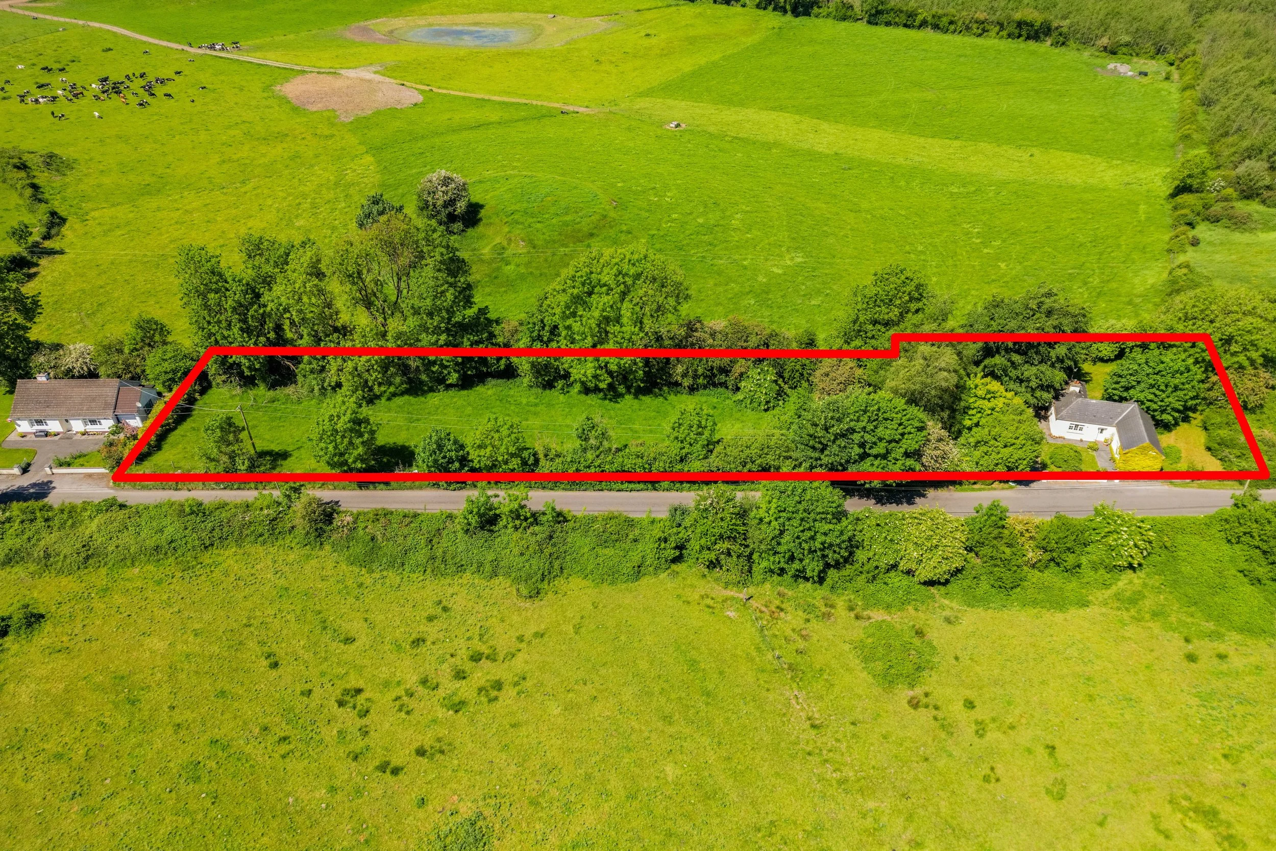 Rathdriogue CG - 12 Red Lines.jpg
