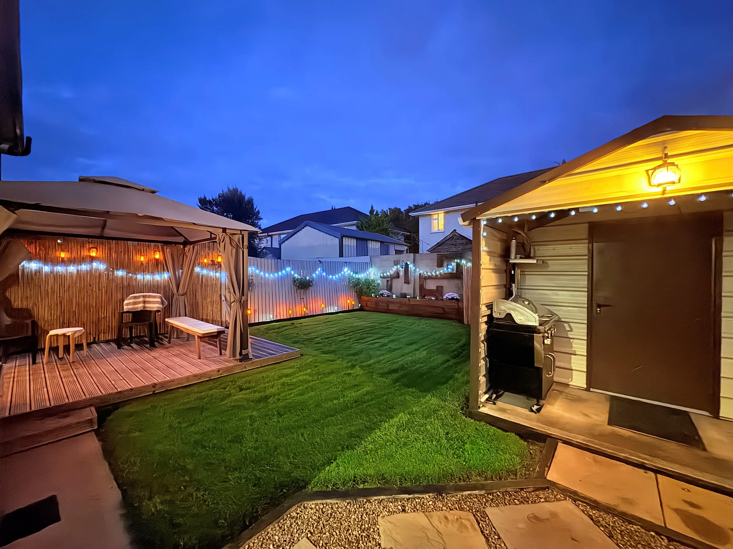Garden night 2.jpg