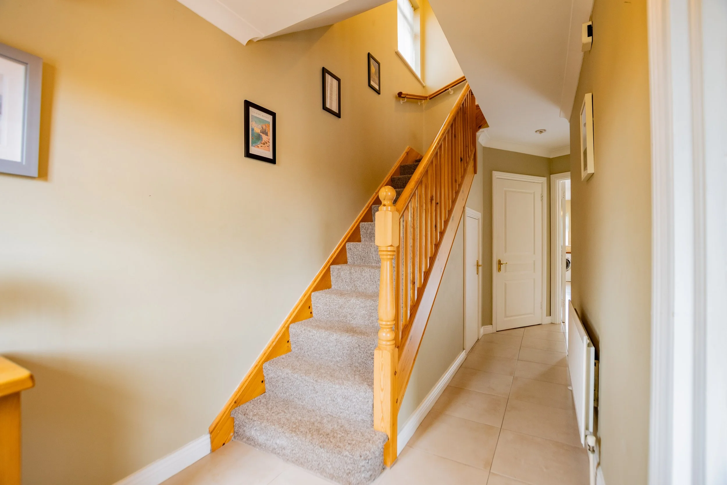 56 Glenmore Wood - 17.jpg