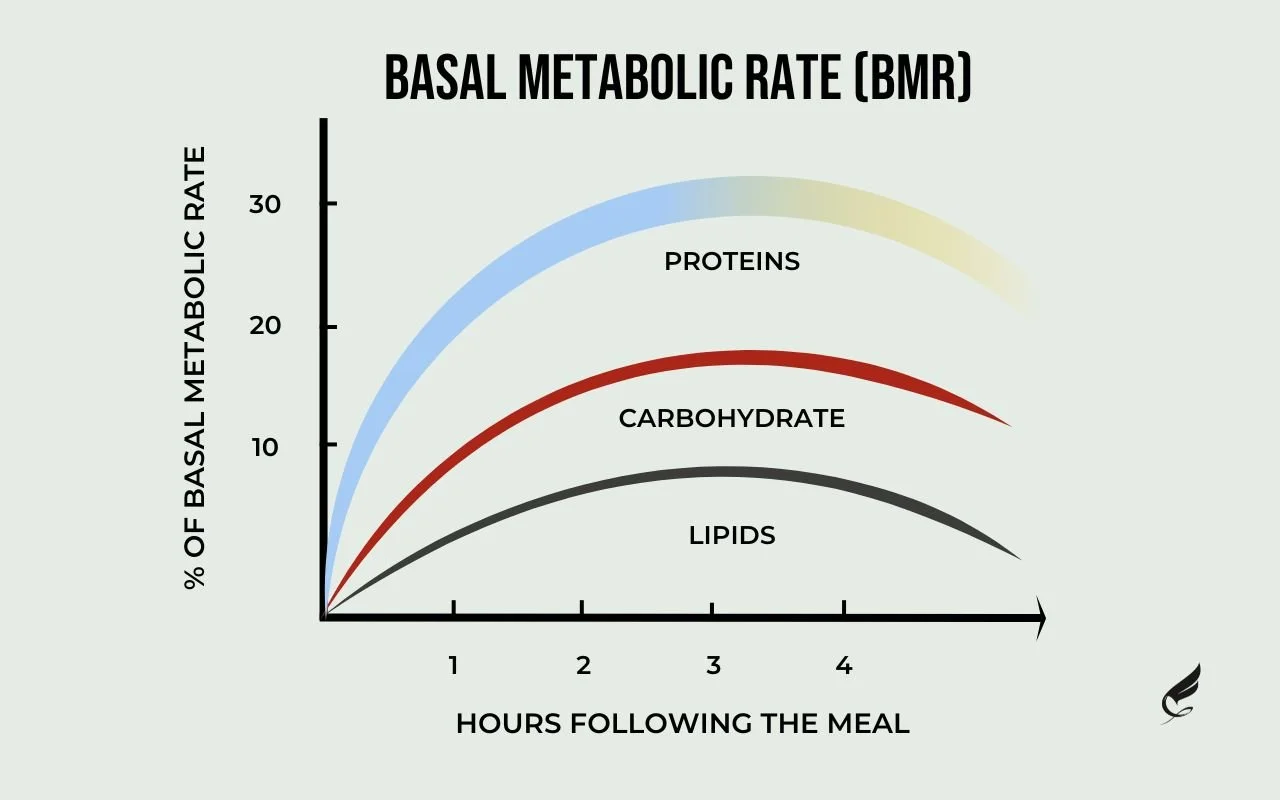 Fortius Personal Trainer Dubai Blog Fitness & Wellness Tips