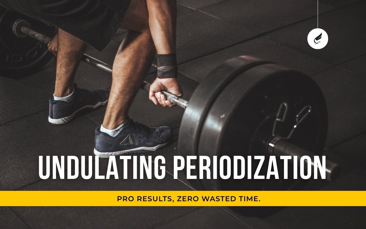 Guide to Undulating Periodization for the Time-Crunched Professional