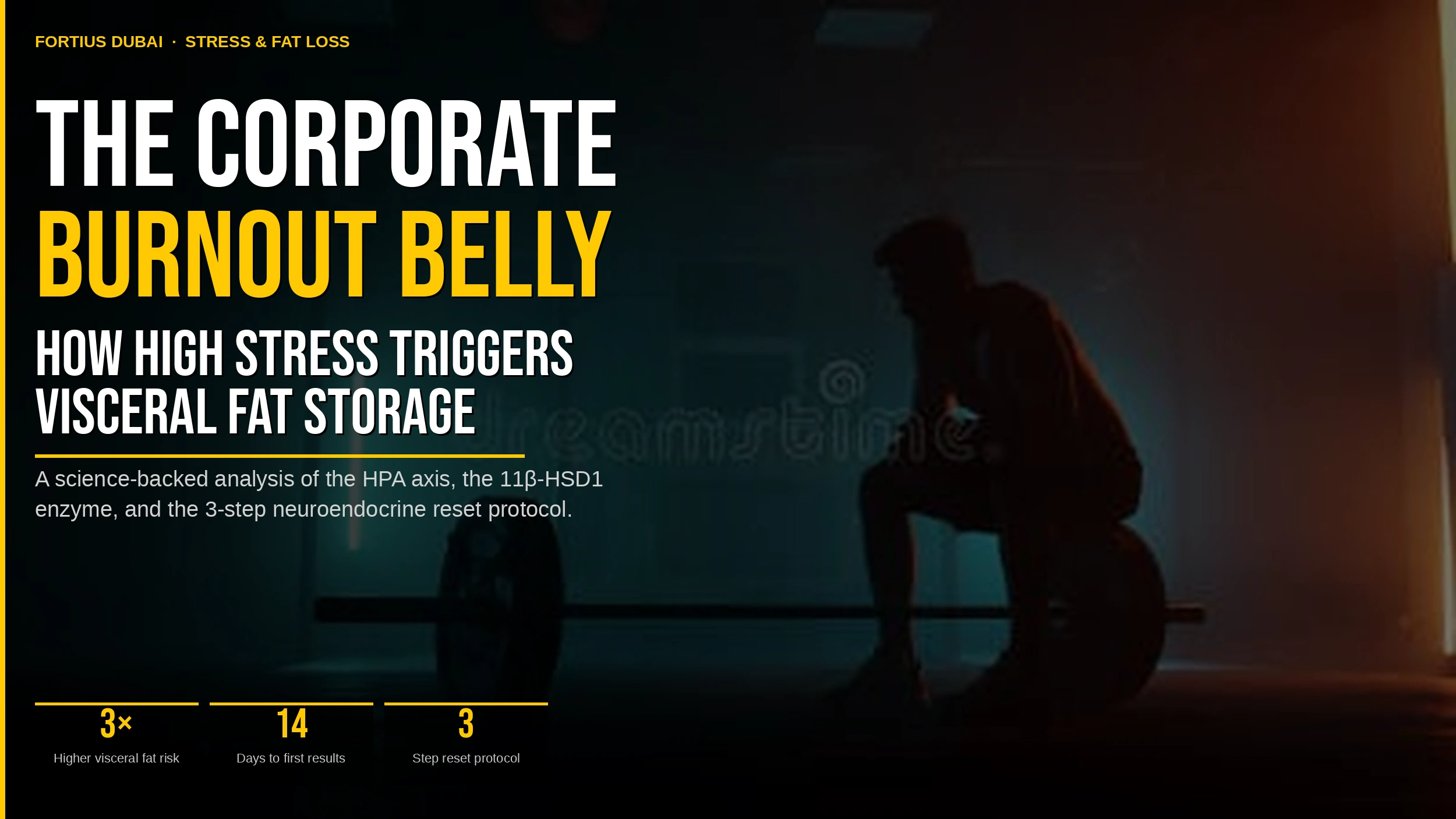 The Corporate Burnout Belly: How High Stress Triggers Visceral Fat Storage