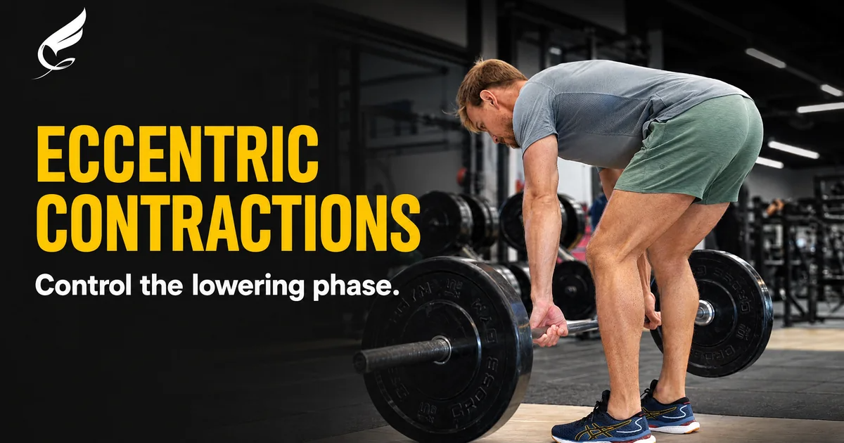 Eccentric Contractions: Why the Lowering Phase Drives Maximum Muscle Hypertrophy