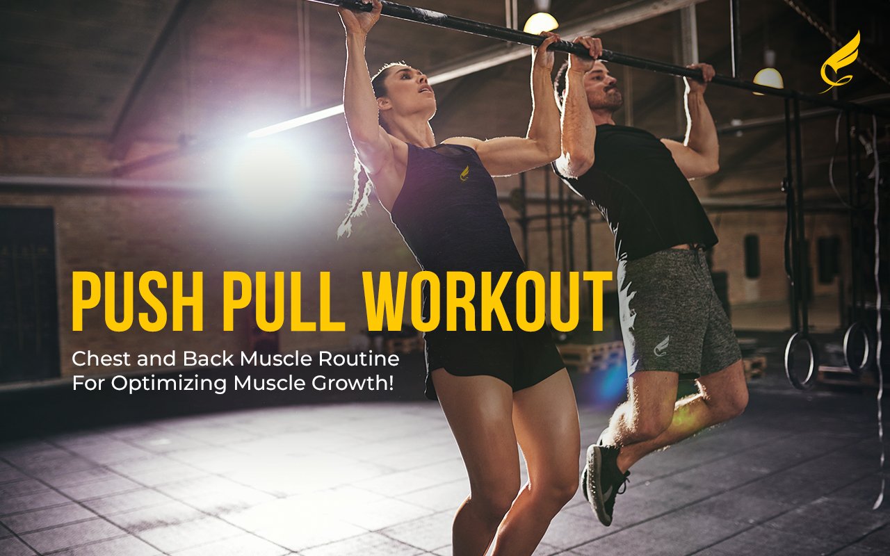 Push pull routine for a model physique