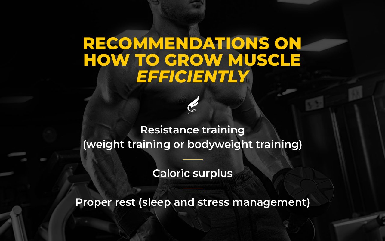 Fortius Personal Trainer Dubai Blog Fitness & Wellness Tips