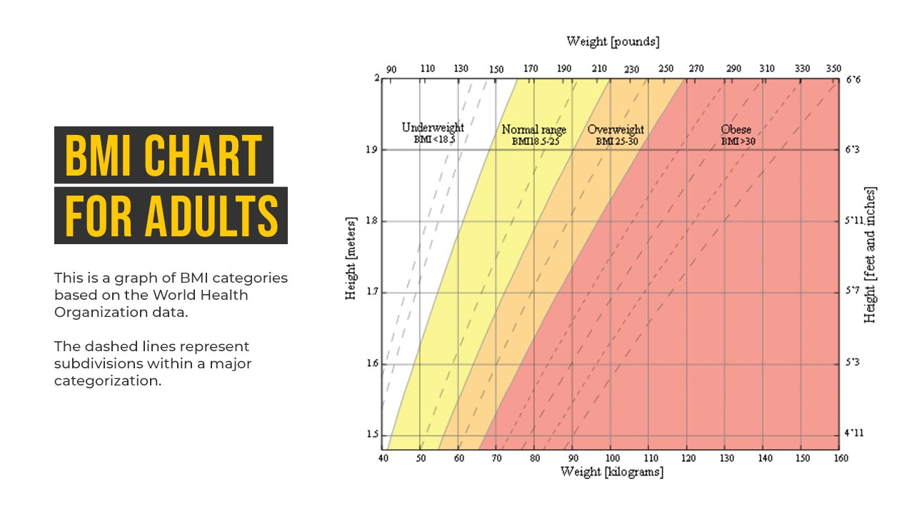 BMI Chart for Adults Based on WHO Data