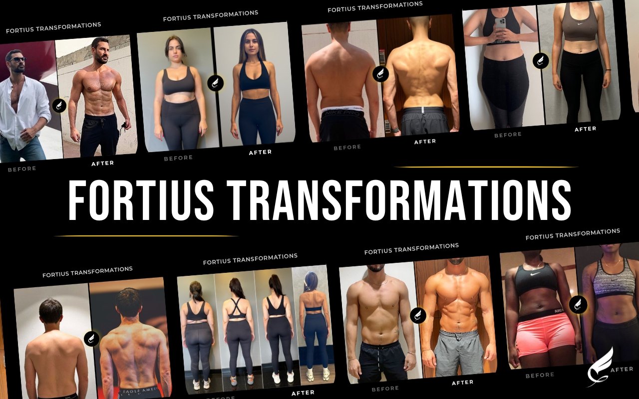 Dubai Body Transformation Program - Results