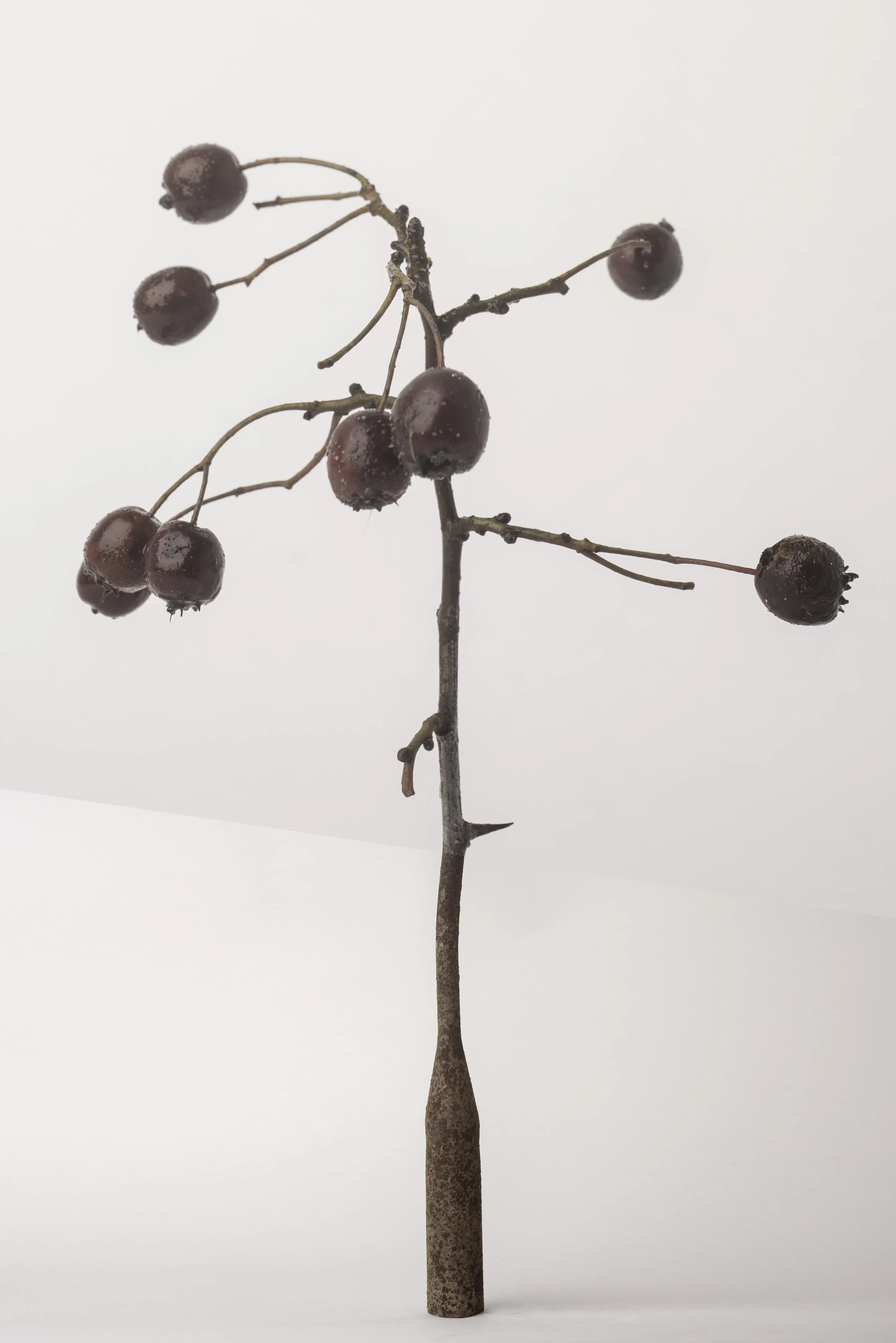 Bickershaw white 3-011-Edit copy.jpg