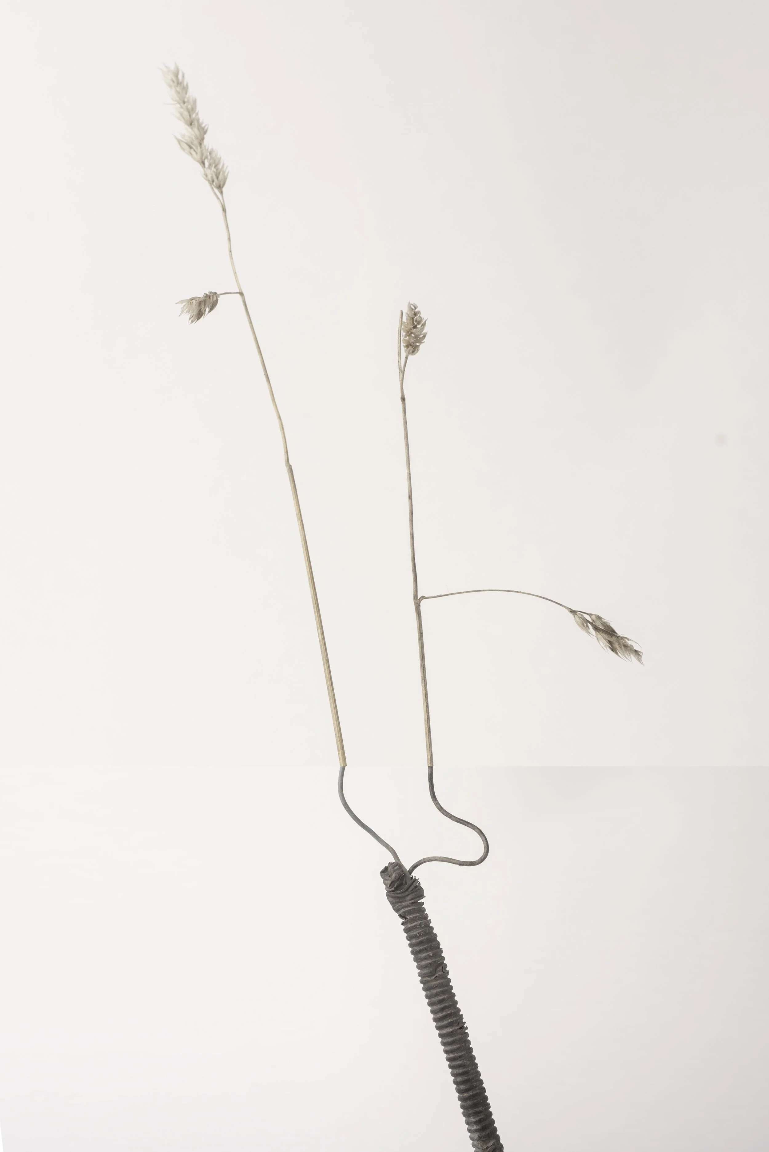 Bickershaw white 3-015-Edit.jpg