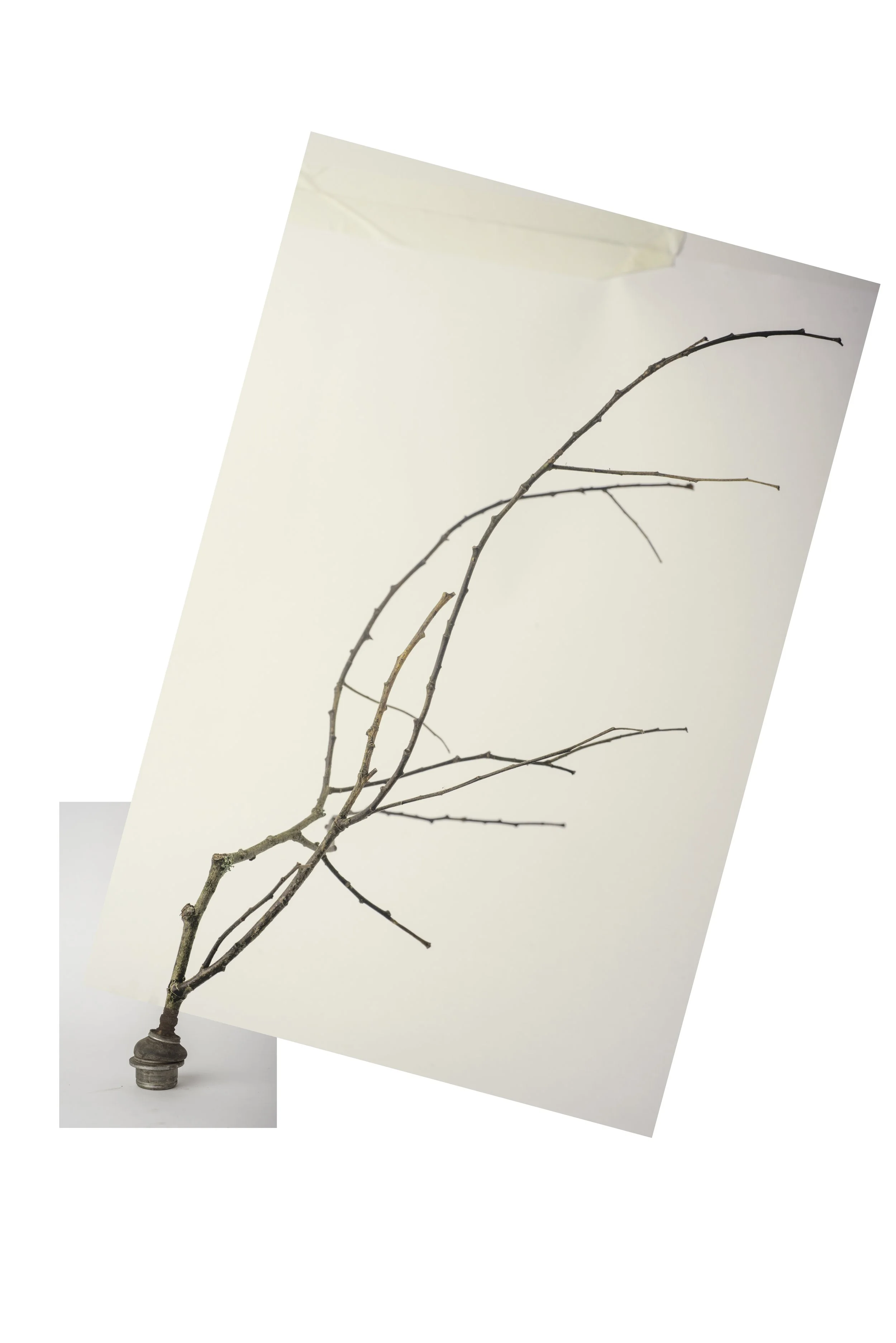 Bickershaw white 3-003-Edit-Edit copy.jpg