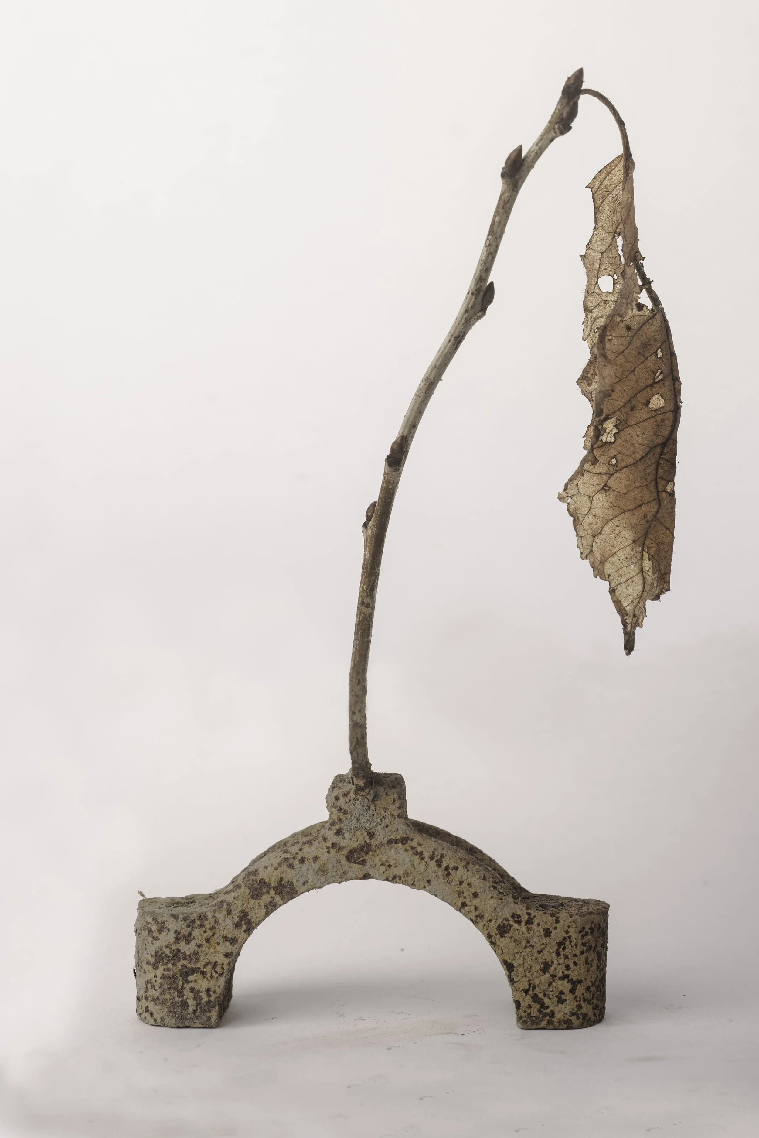 Bickershaw white 3-010-Edit copy.jpg