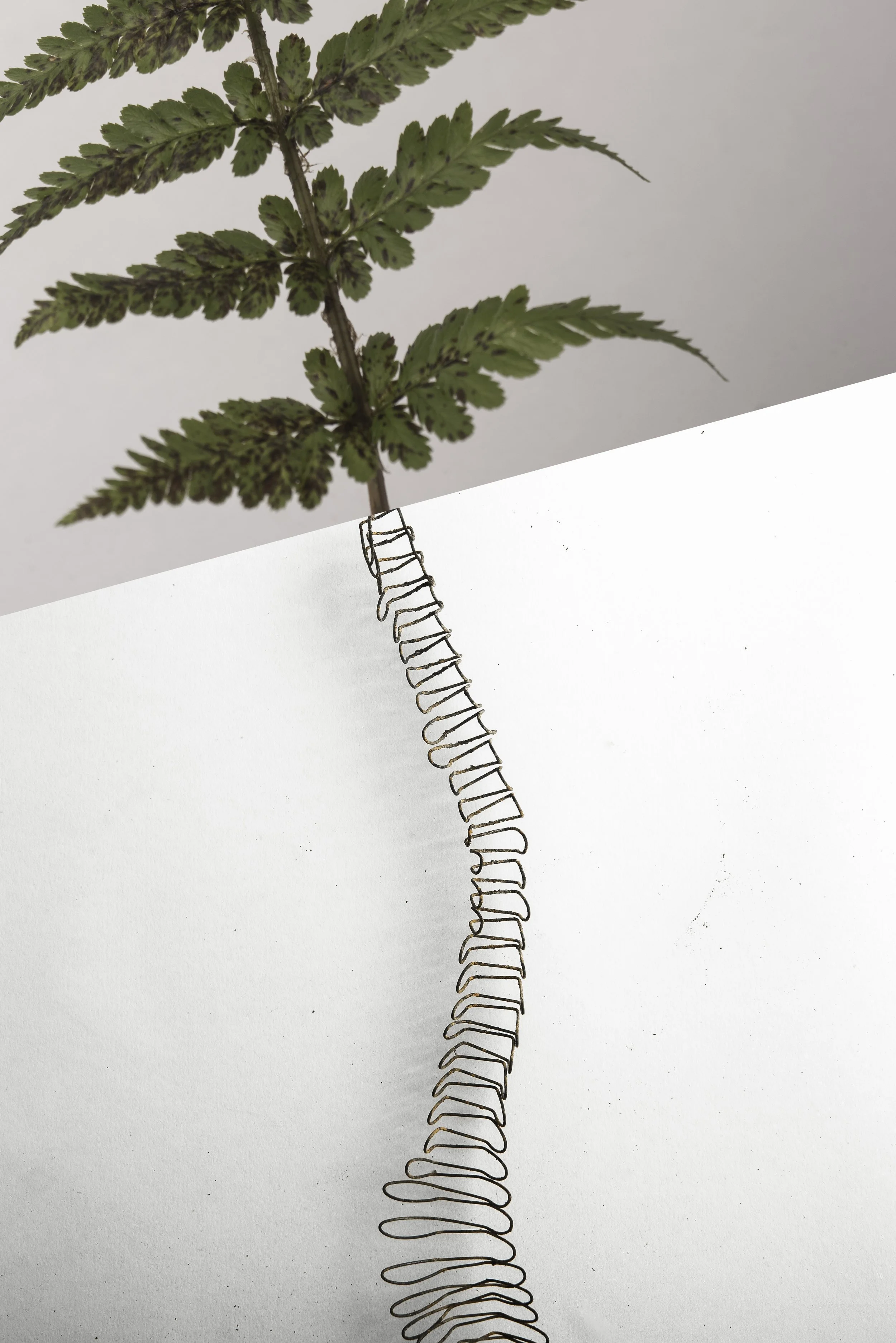 bickershaw white-018-Edit-Edit.jpg