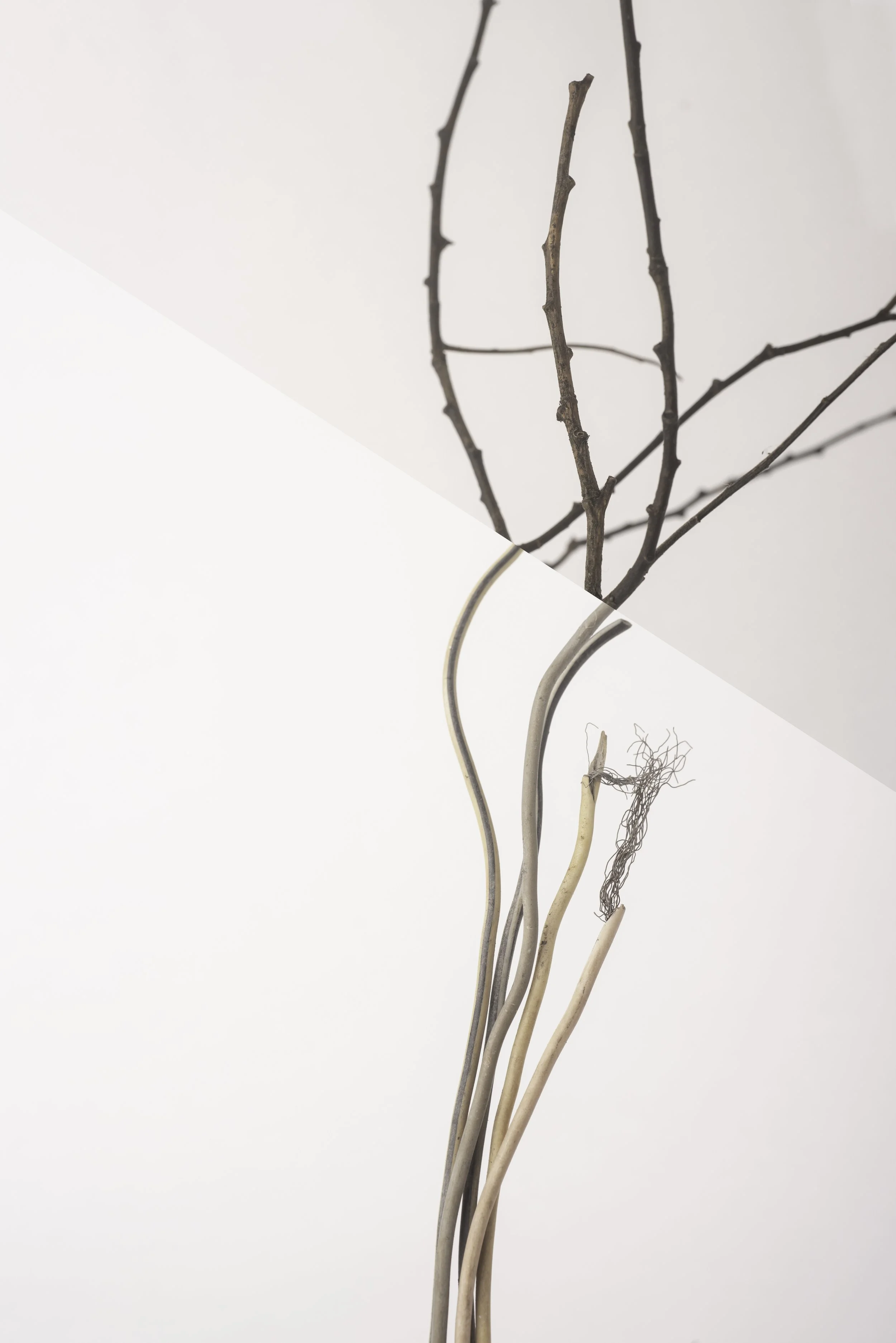 Bickershaw white 3-005-Edit.jpg