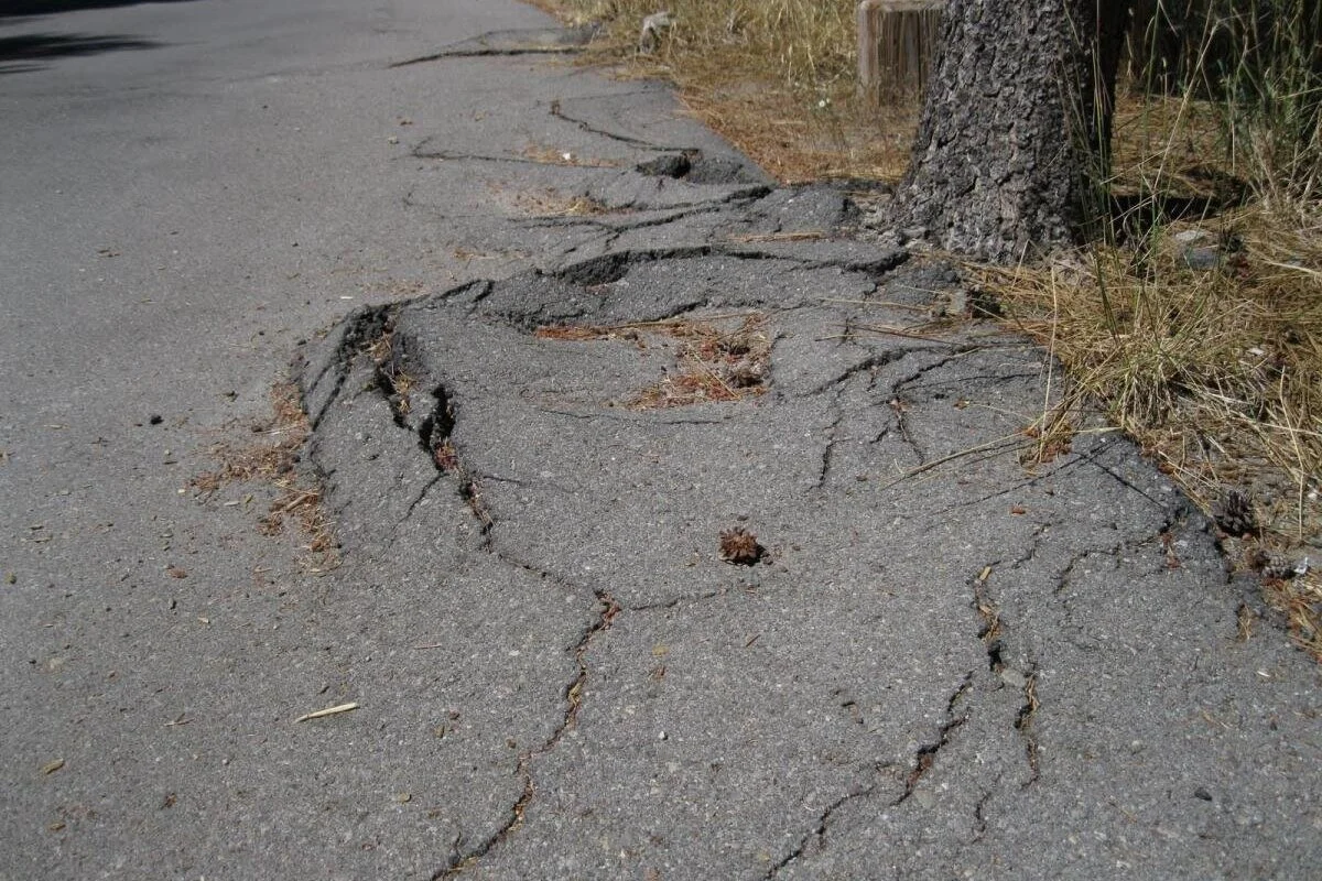 Getting to the Root of the Problem | ICPI