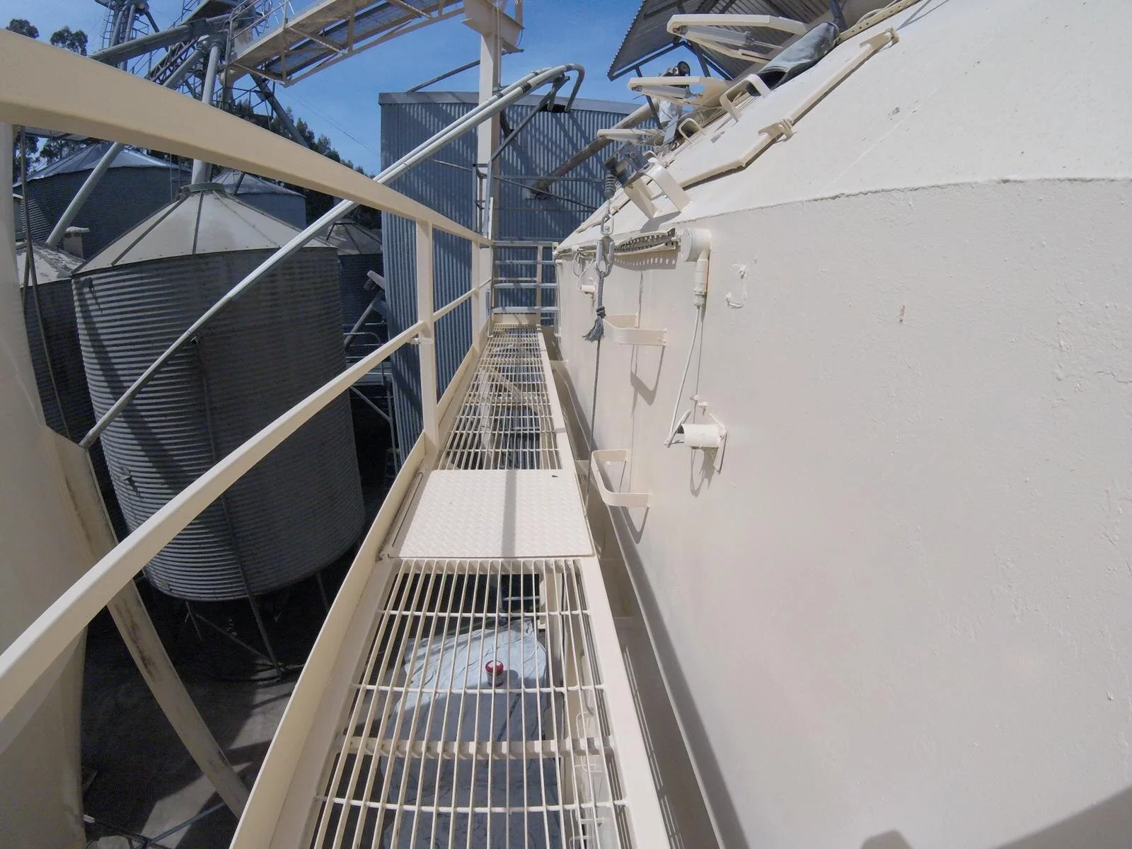 Freshpork NZ Case Study