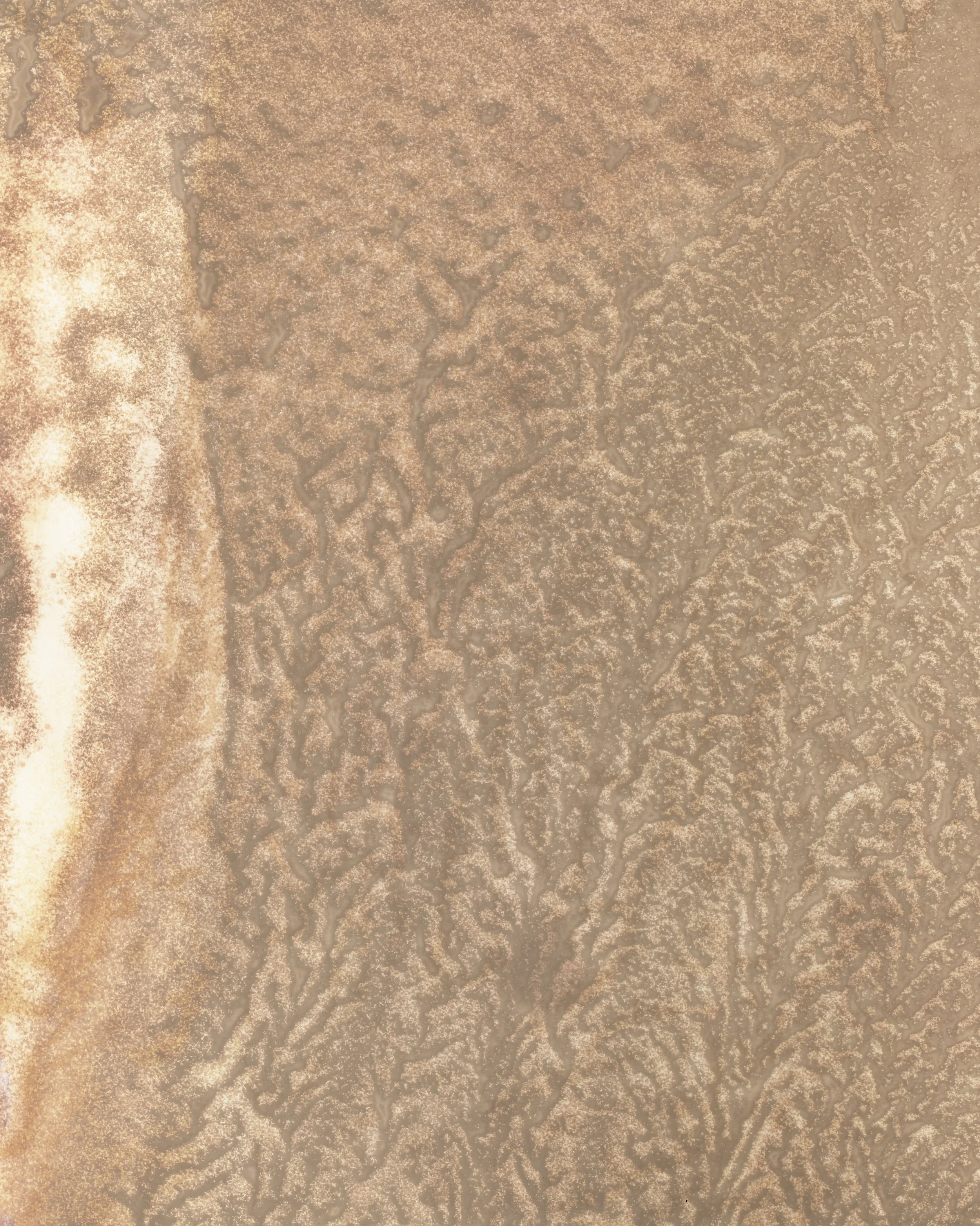 waves2026_04.jpg