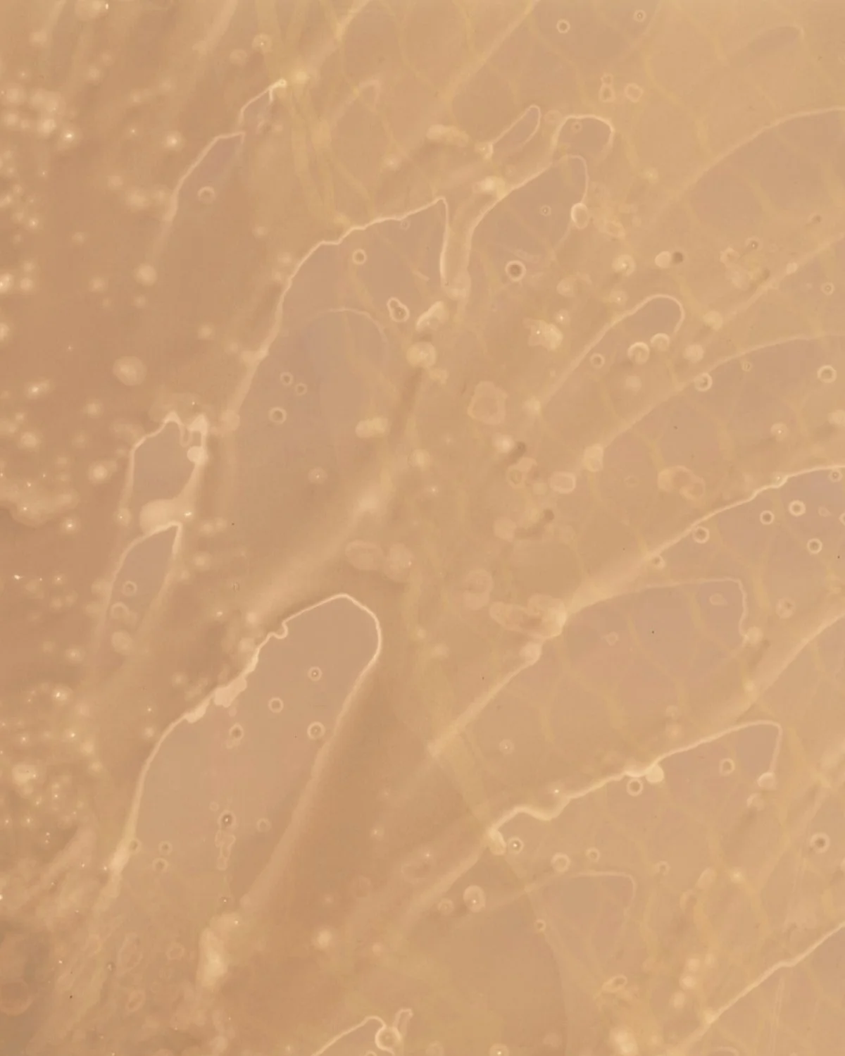 Waves of Lake Ontario. Silver-gelatin photographic paper exposed to lake water, sand and shoreline debris, 8x10 inches. 2022.