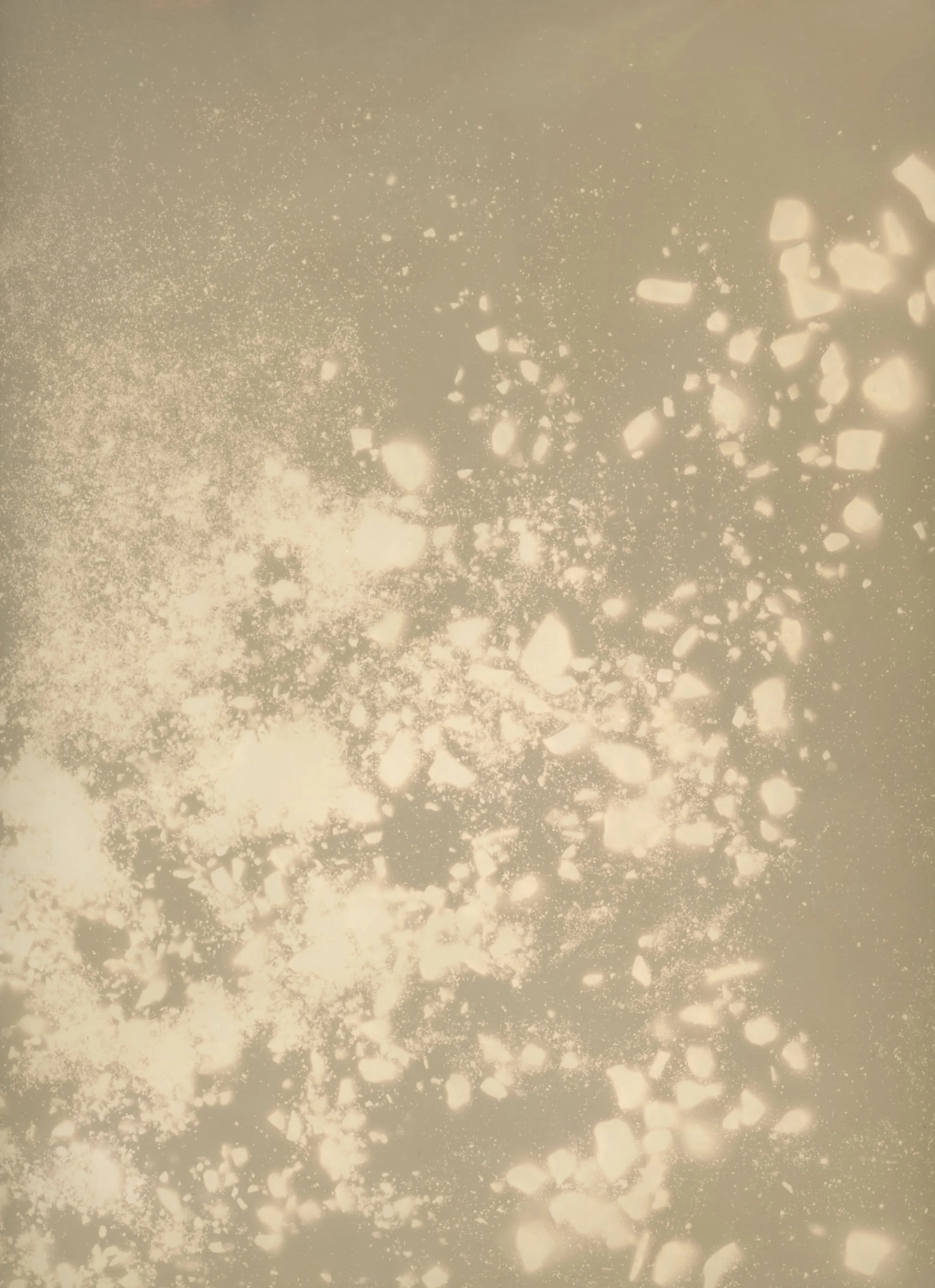Silver-gelatin photographic paper exposed to water, stones and sediment in Little Salmon Lake (YT), 11x14 inches. 2021.