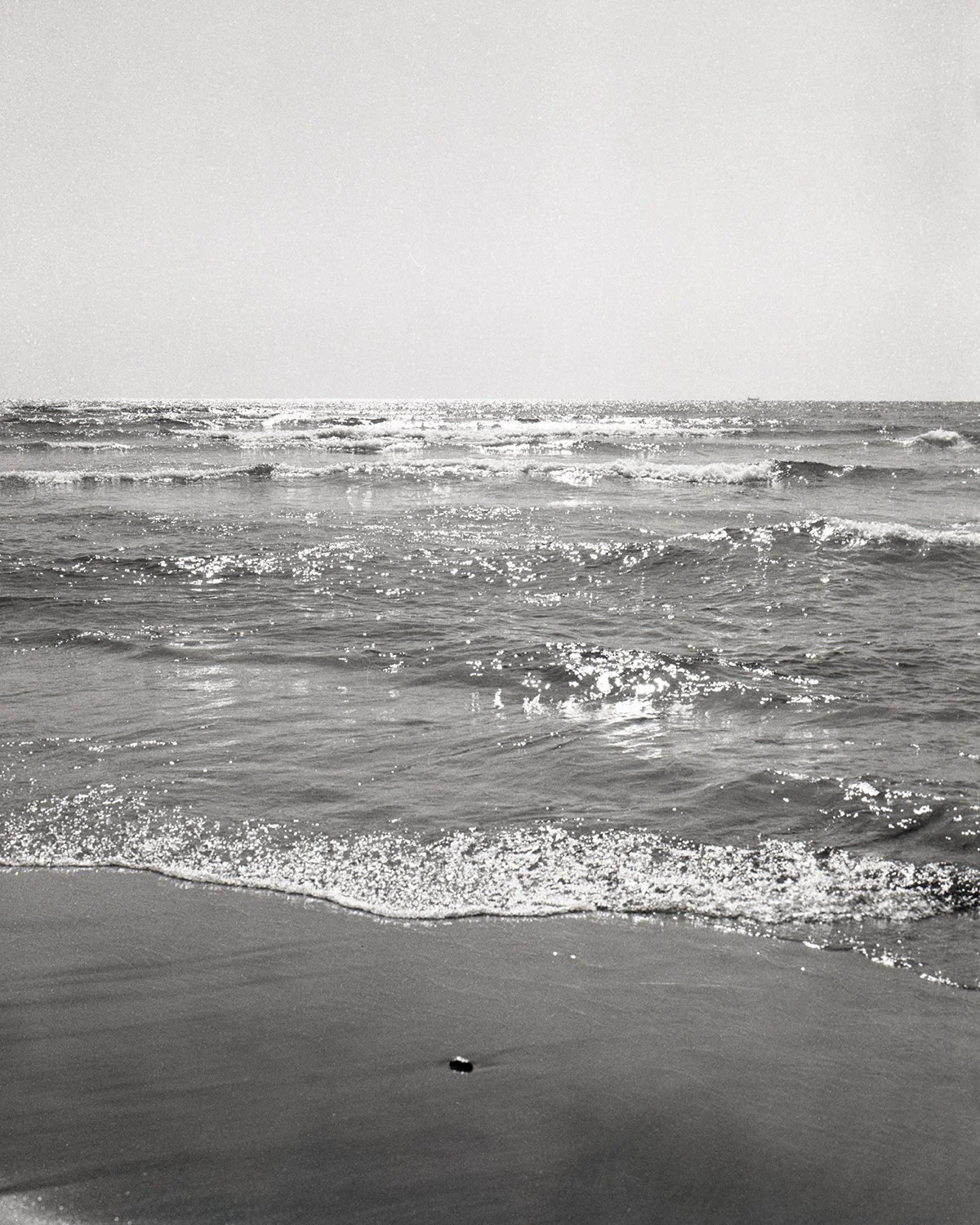 Film photograph (Lake Ontario). 2018.