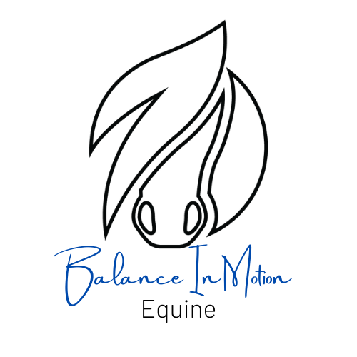 BALANCE IN MOTION EQUINE