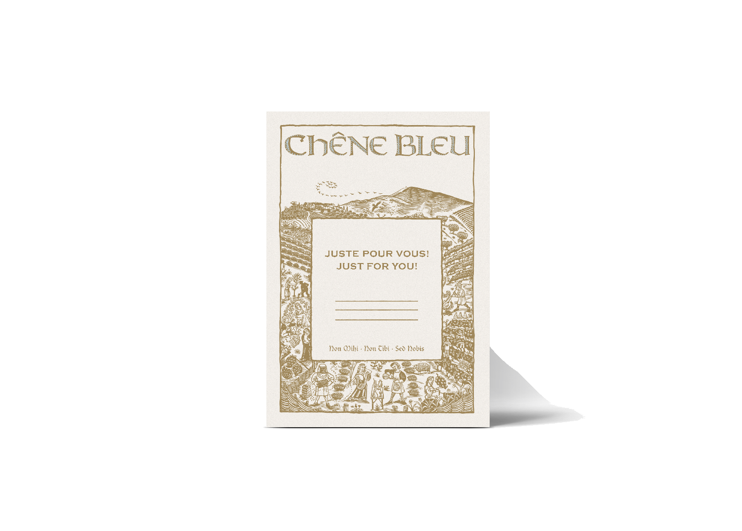 BONS CADEAUX chêne bleu