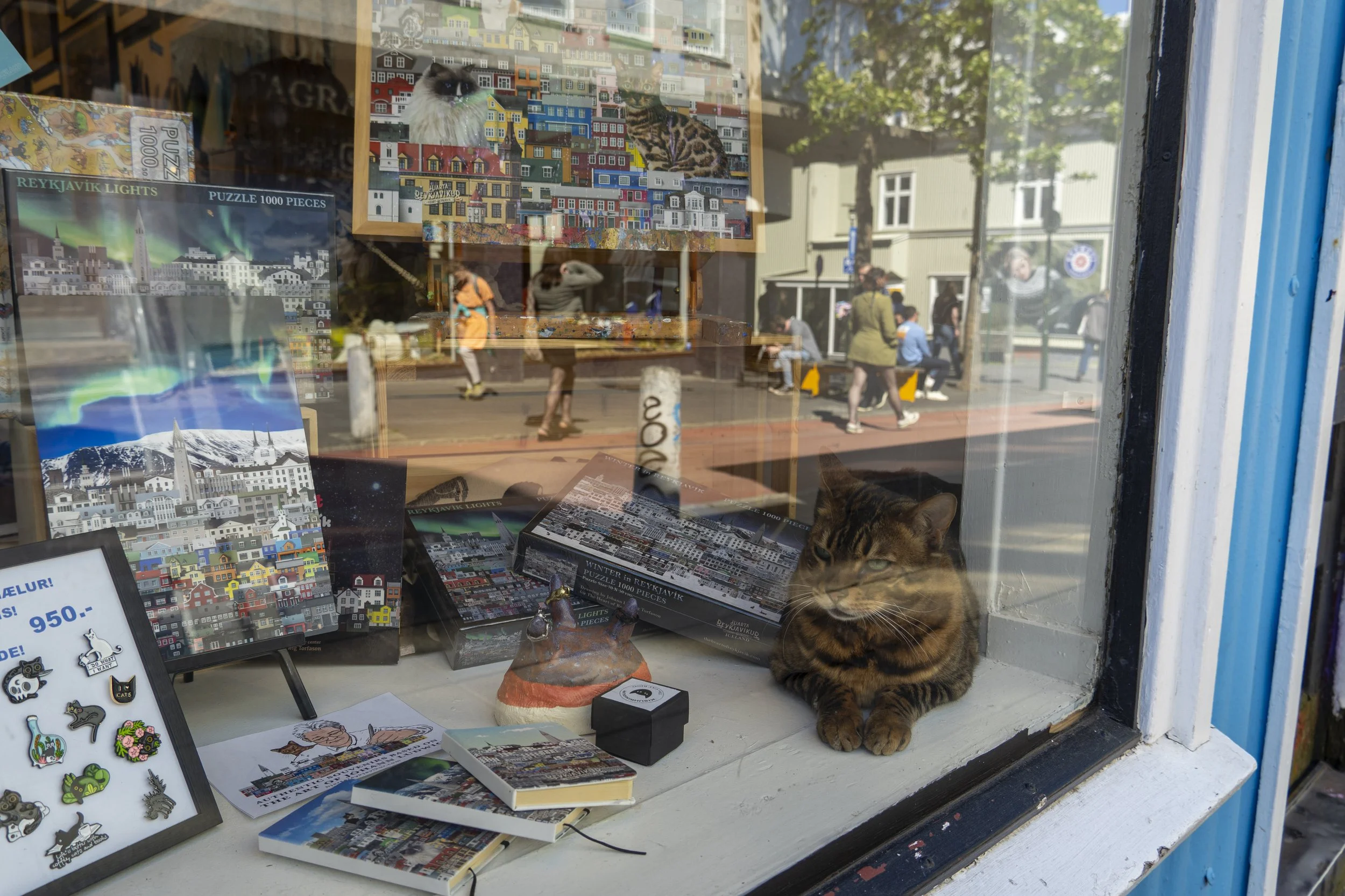 Cats of Reykjavik #2