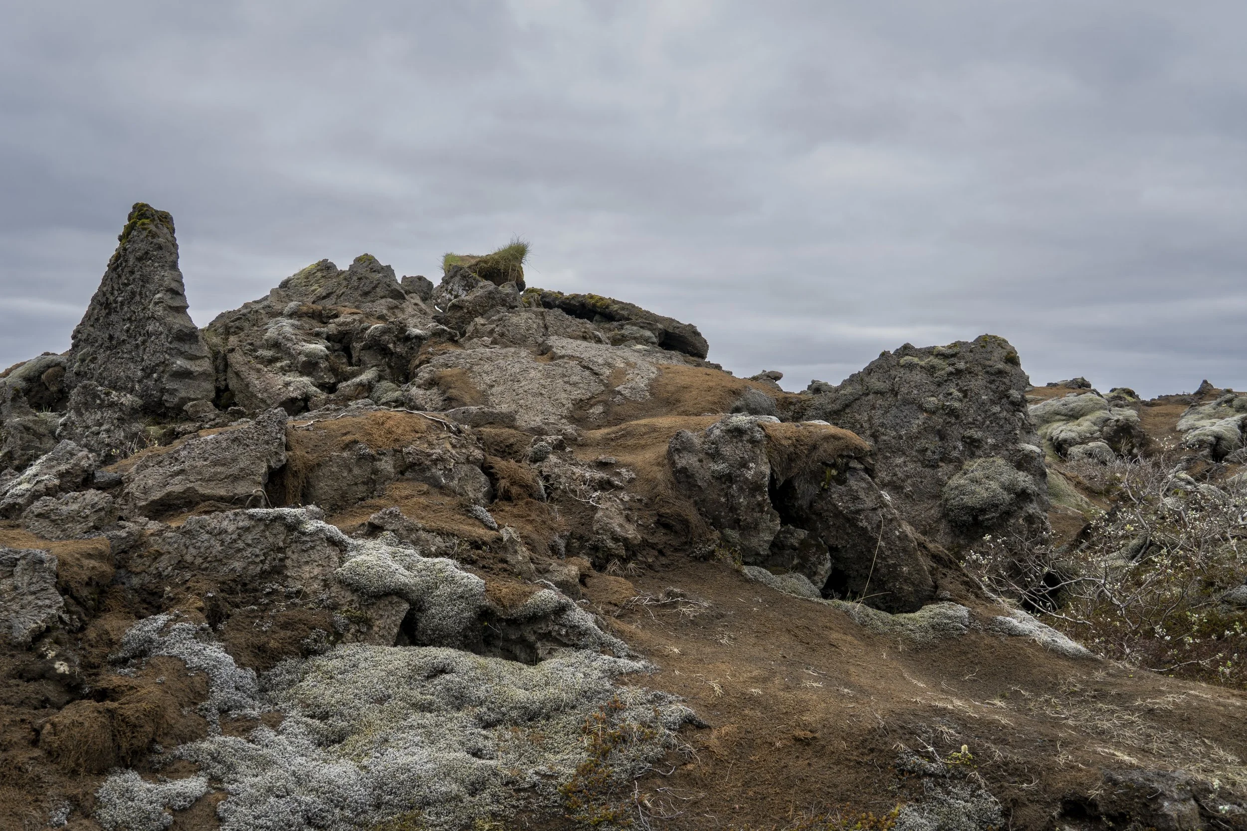 Eldhraun Lava Field