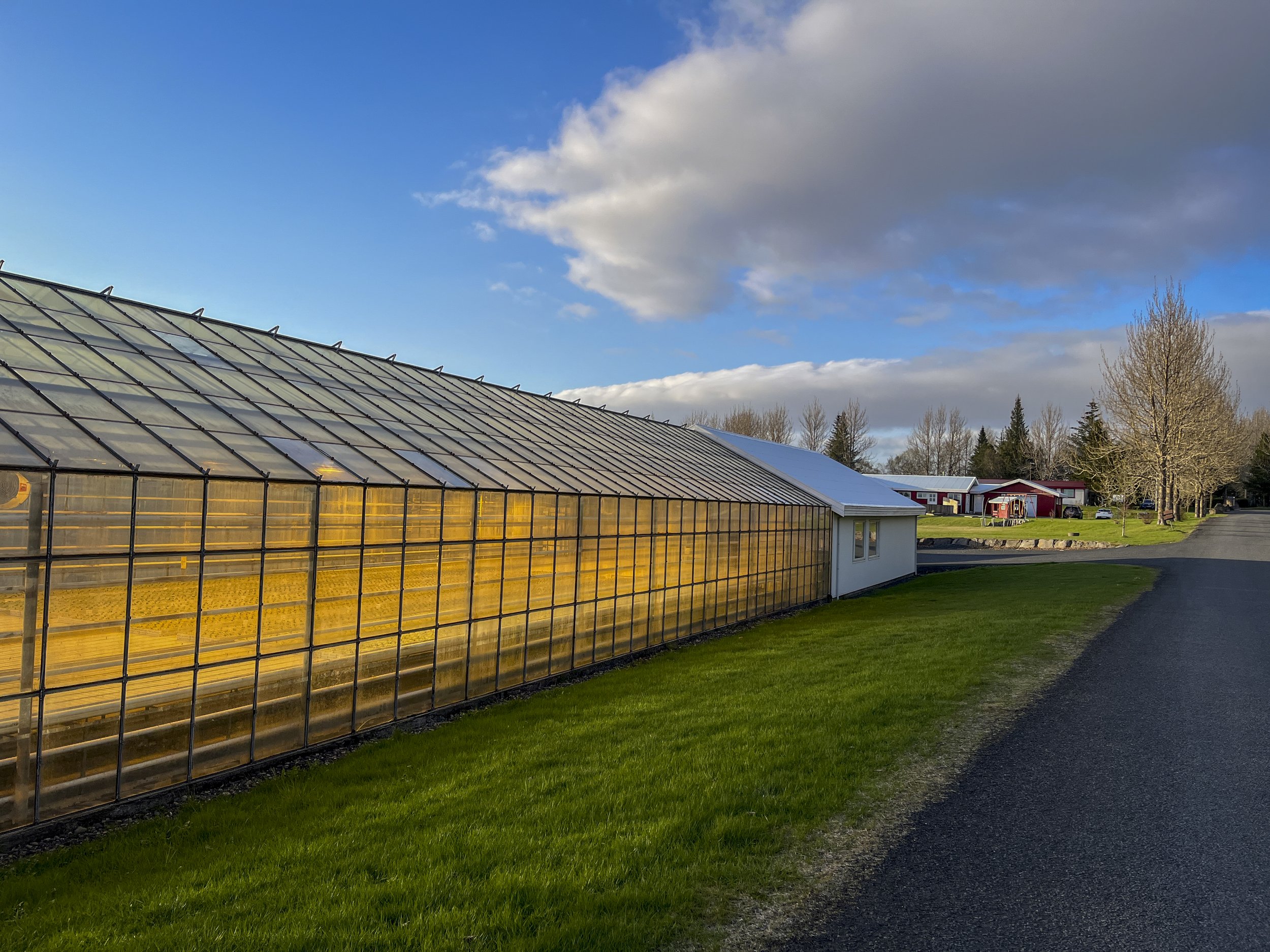 Greenhouse