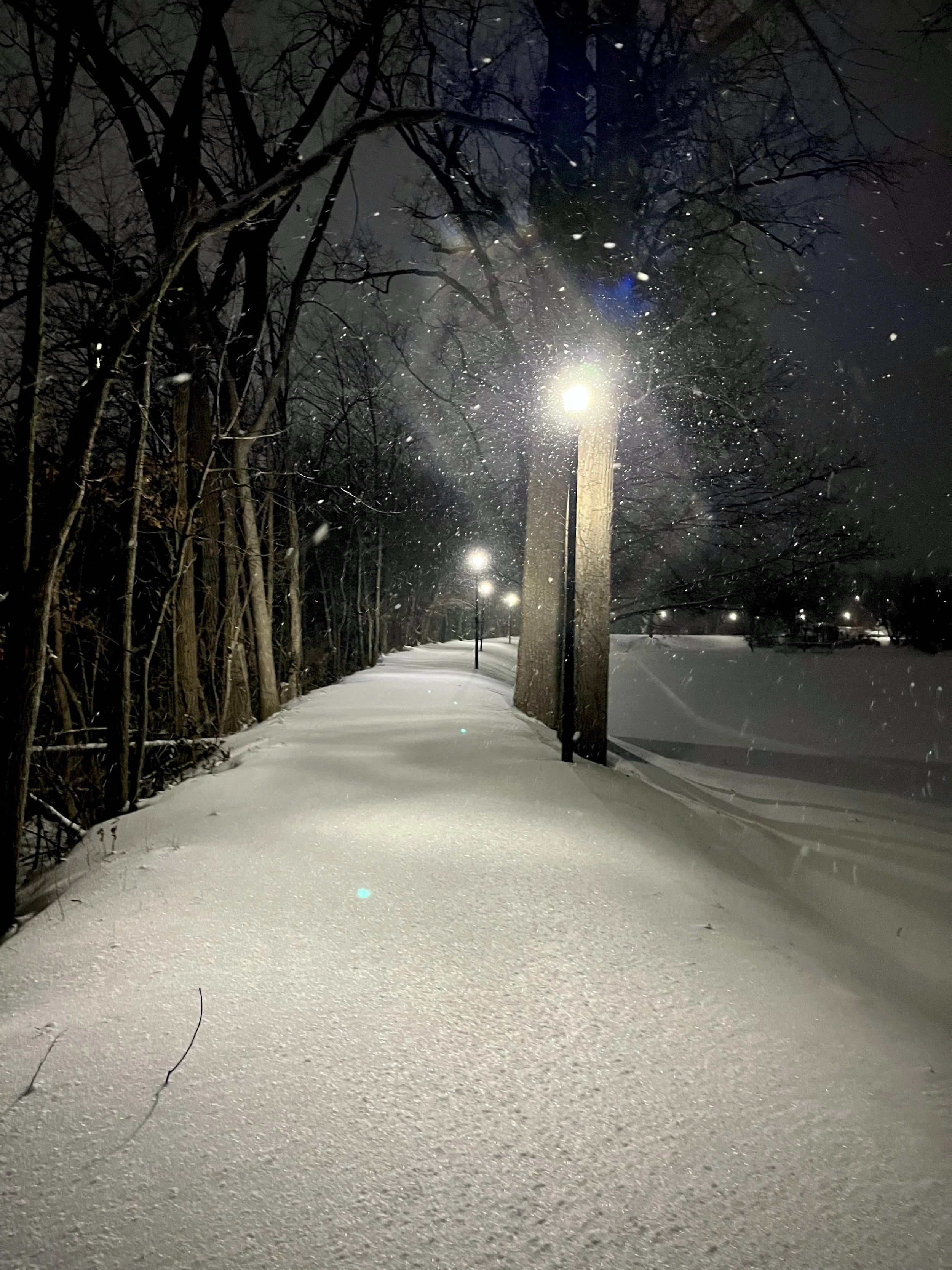 Weeknotes: December 29, 2025–January 2, 2026