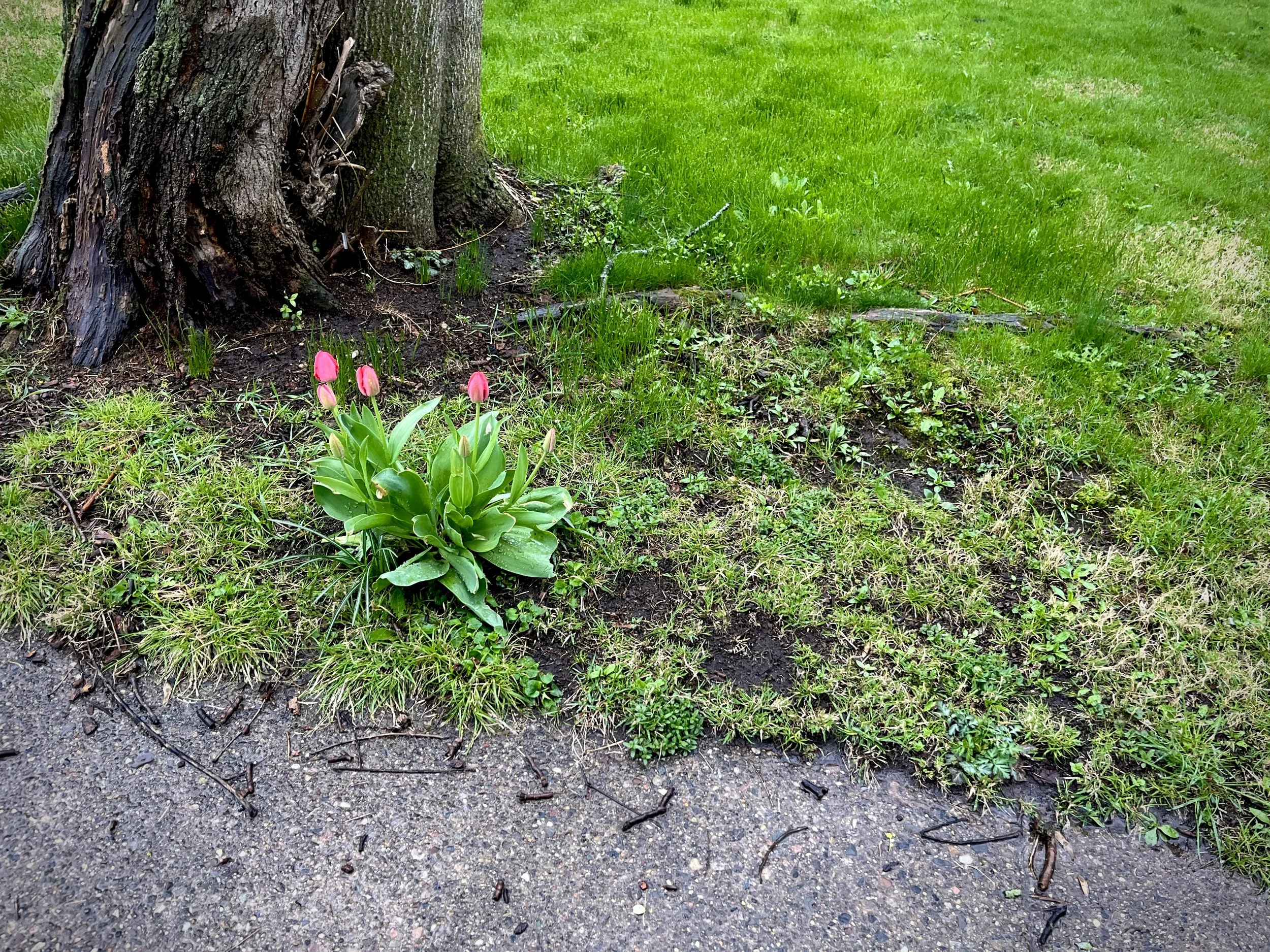 Weeknotes: April 13–17, 2026