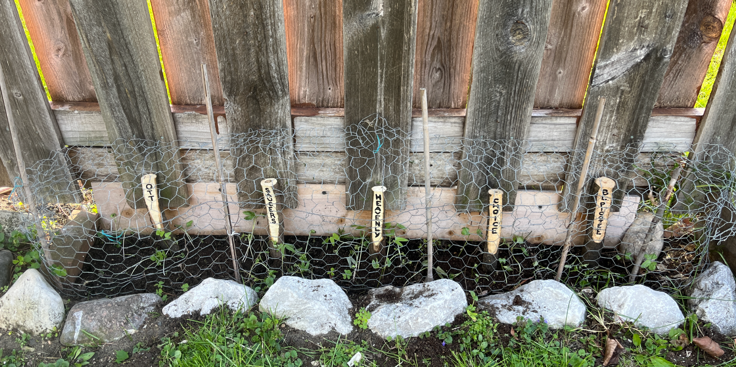 Weeknotes: May 4–8, 2026