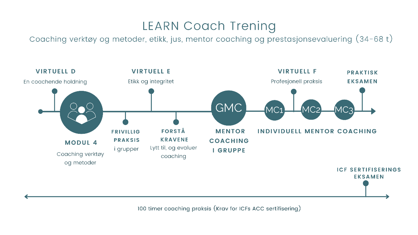 LEARN Coach Training &amp; Mentor Coaching Oslo 2027 Fall
