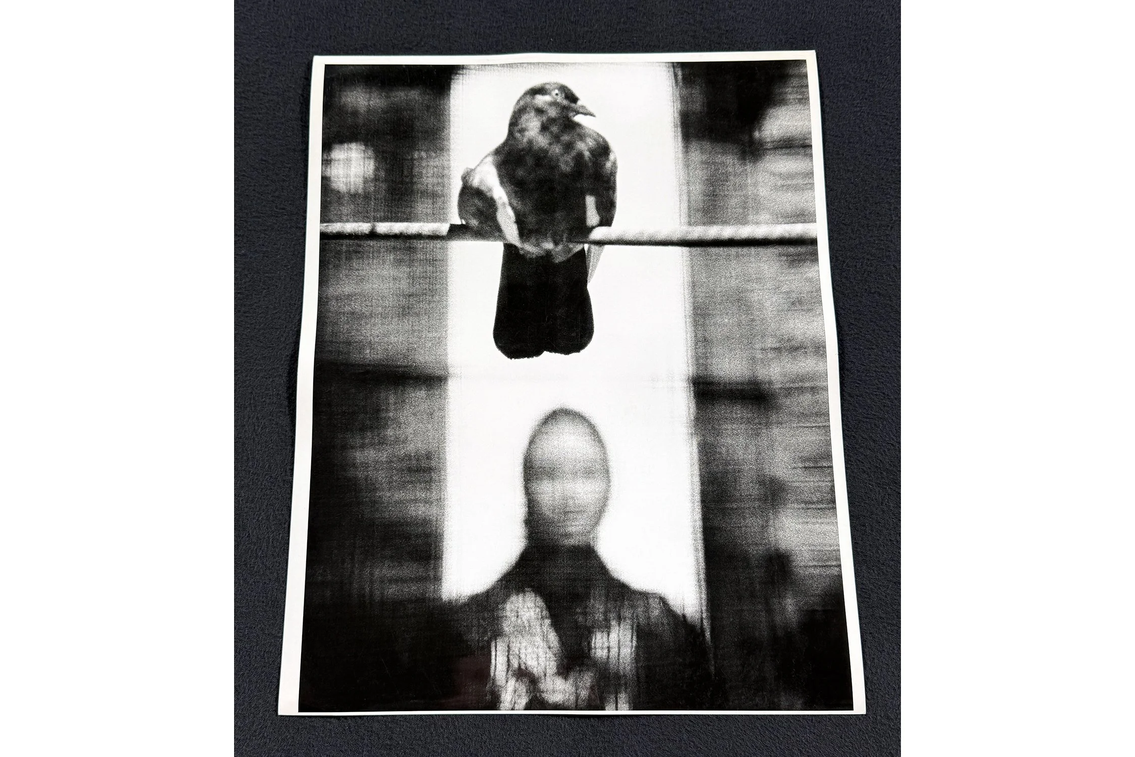 November-Girl-Pigeon-on-a-Rope-Recto-PIN-91473-1500-3-2.jpg