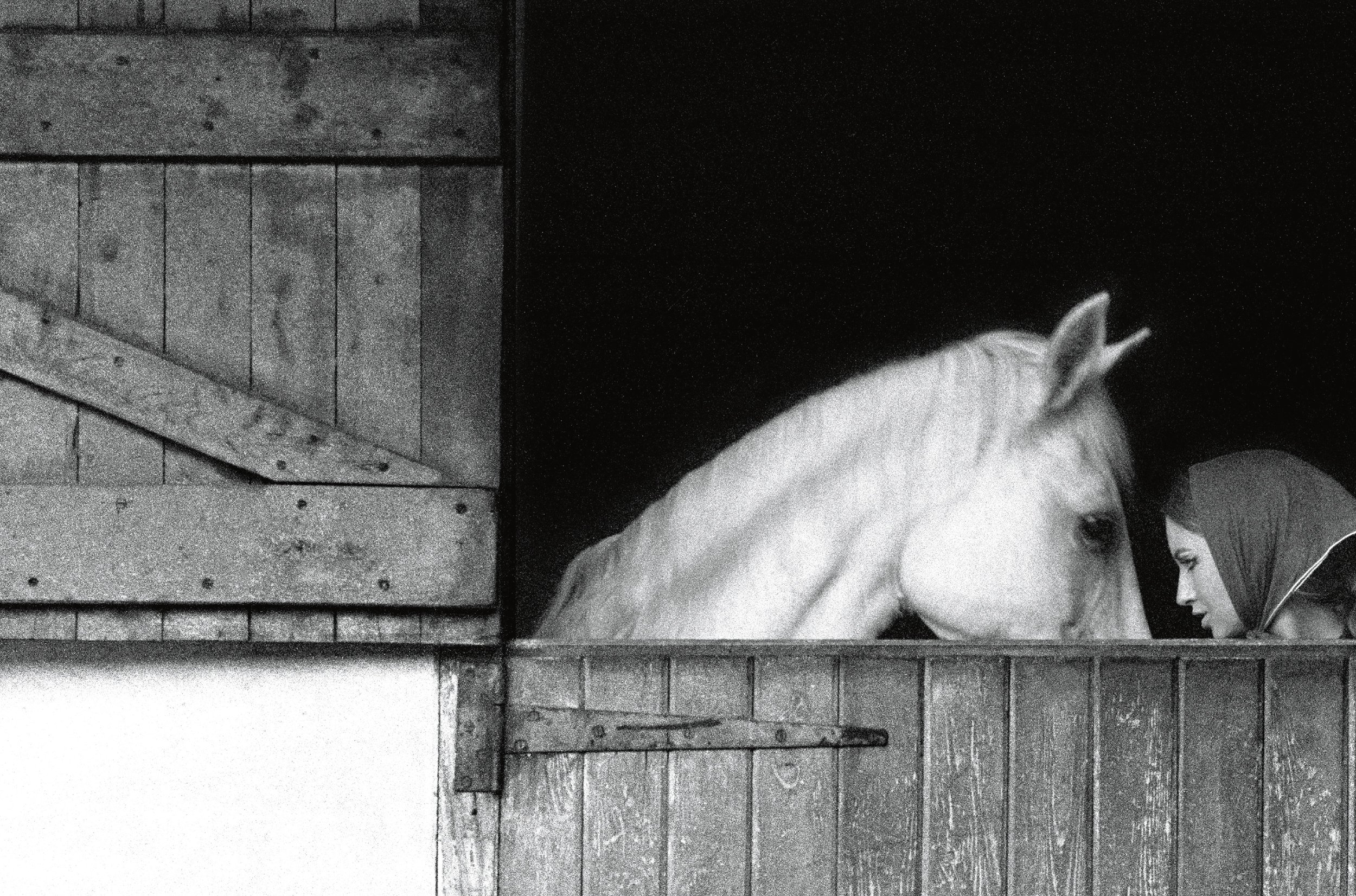 November-Girl-Stable-IMAGE-144-2500.jpg