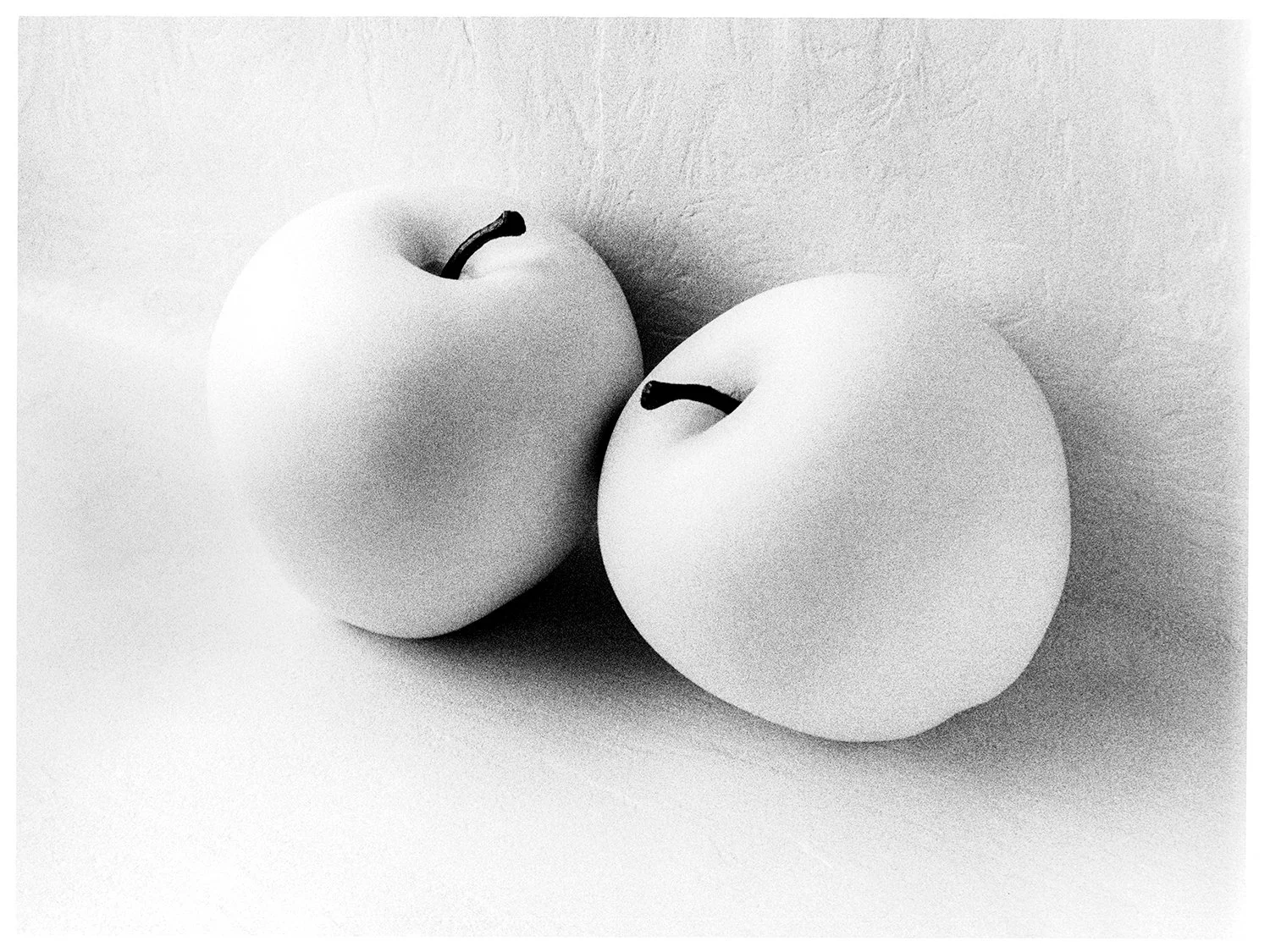Two-White-Apples-Still-Life-V2-4-3.jpg