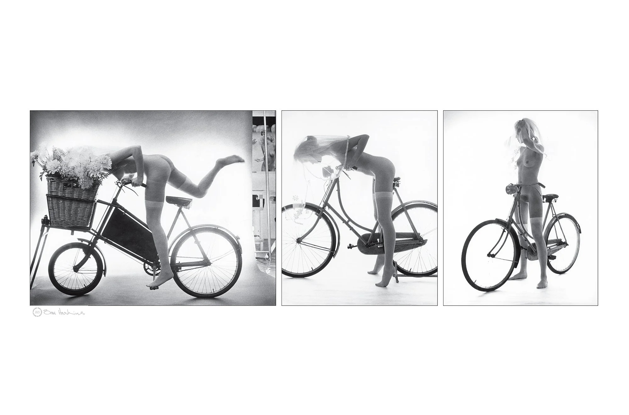 The Naked Bride Triptych