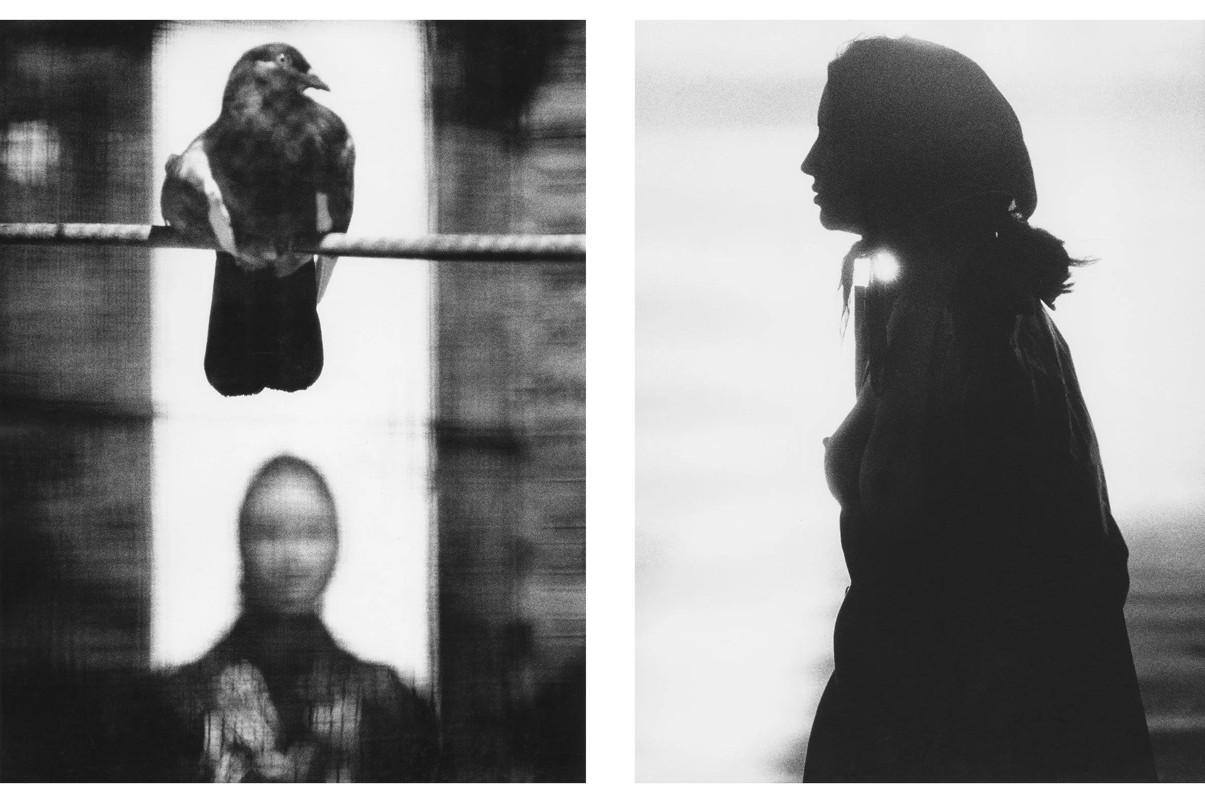 November-Girl---Pigeon-on-Rope-&-Sun-Flare-Comp-(Sep-Prs-25)-1500-3-2.jpg
