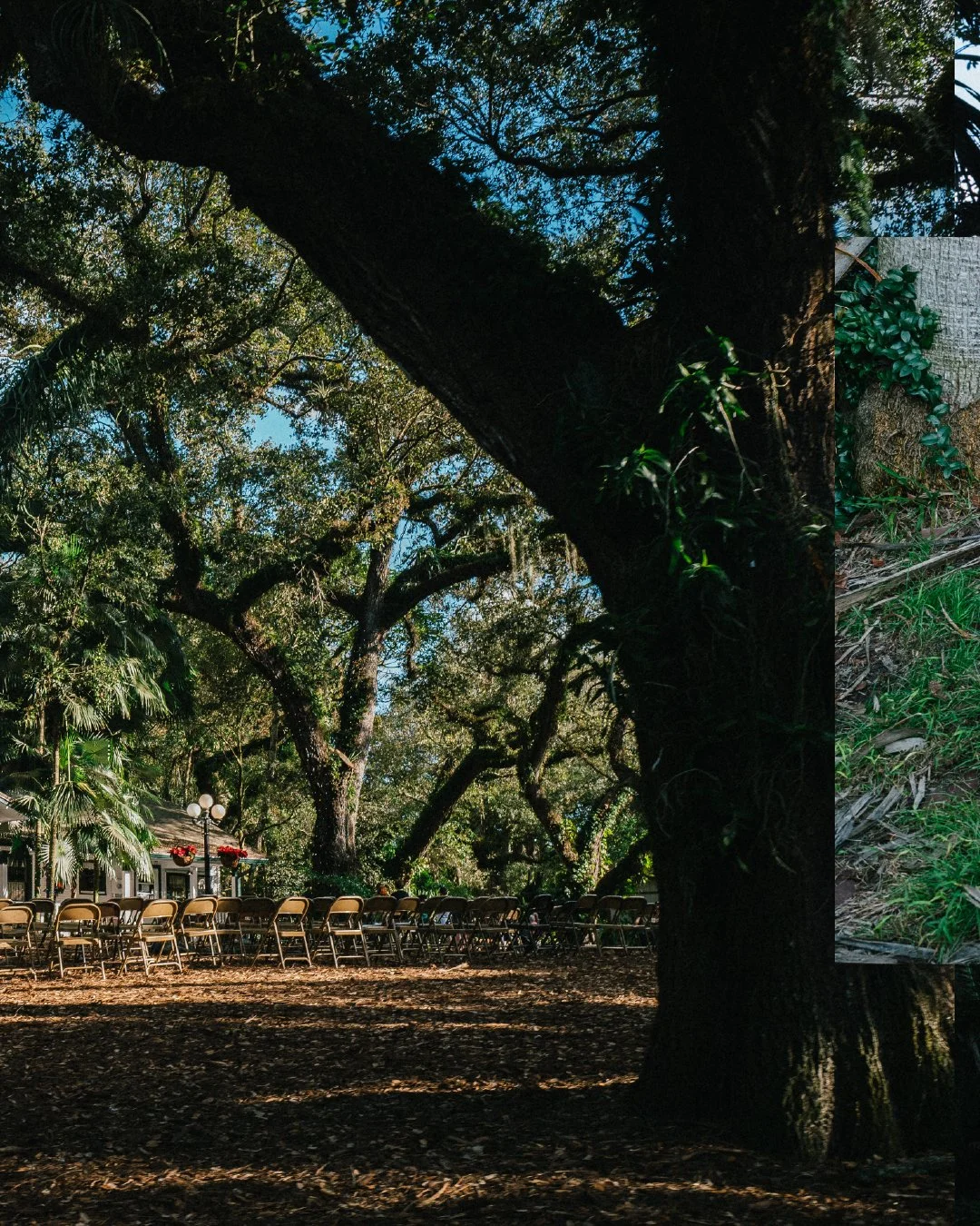 TALES3Artboard 9-100.jpg