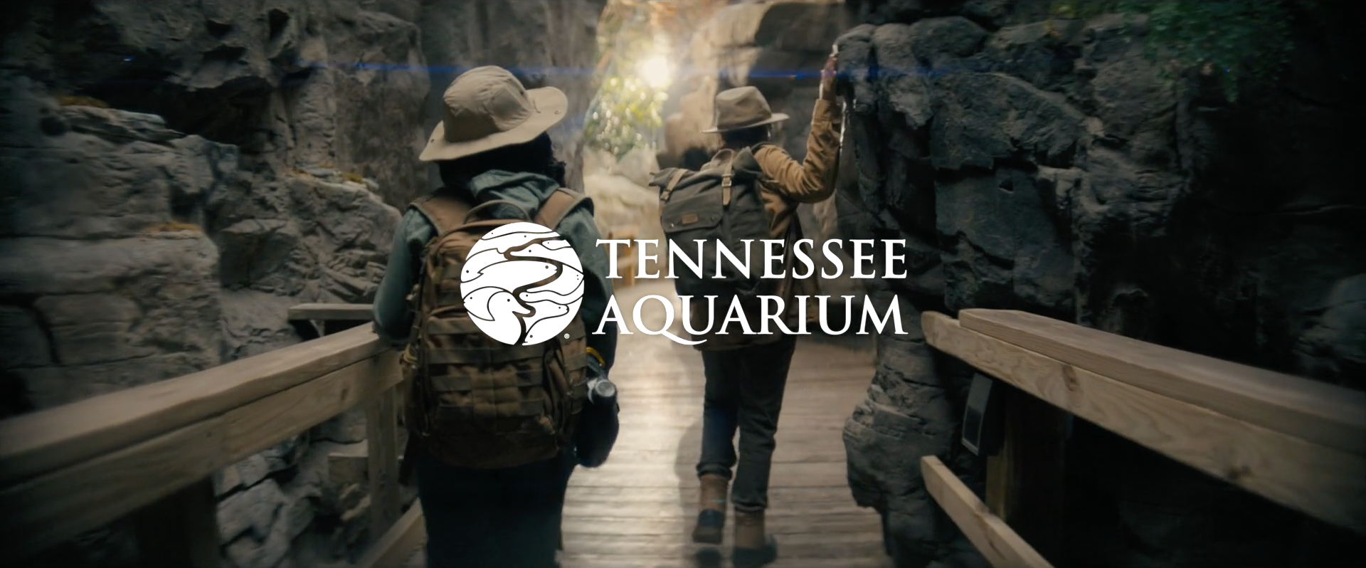 Tennessee Aquarium - Curious