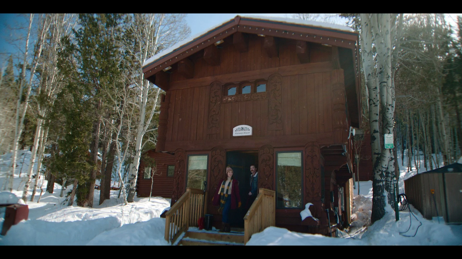 Still 2026-01-29 135821_1.48.1.jpg