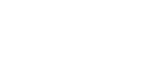 Resilient Democracy