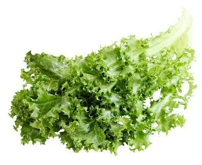 curly-endive-jpg.jpg