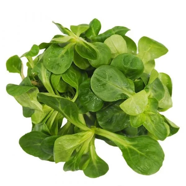 Lambs Lettuce (100g)