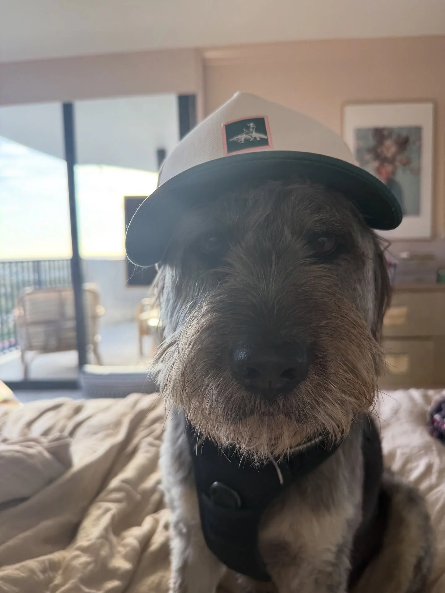 2025 was the year everything settled into place. Some highlights you have seen already but a combination of images I love from this year. 

I began writing SAFE while still very much in the fire of my own healing. As the year unfolded, I found myself